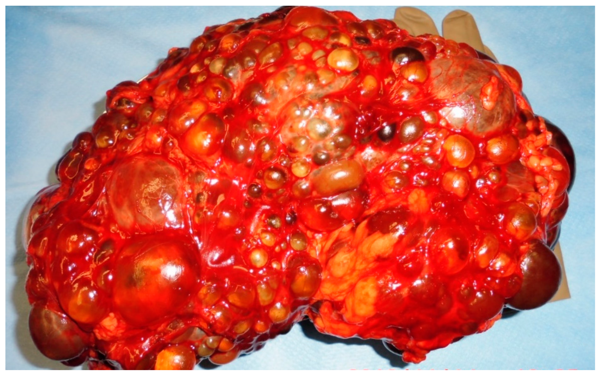 Jcm 08 01622 g001 Jcm 08 01622 g001