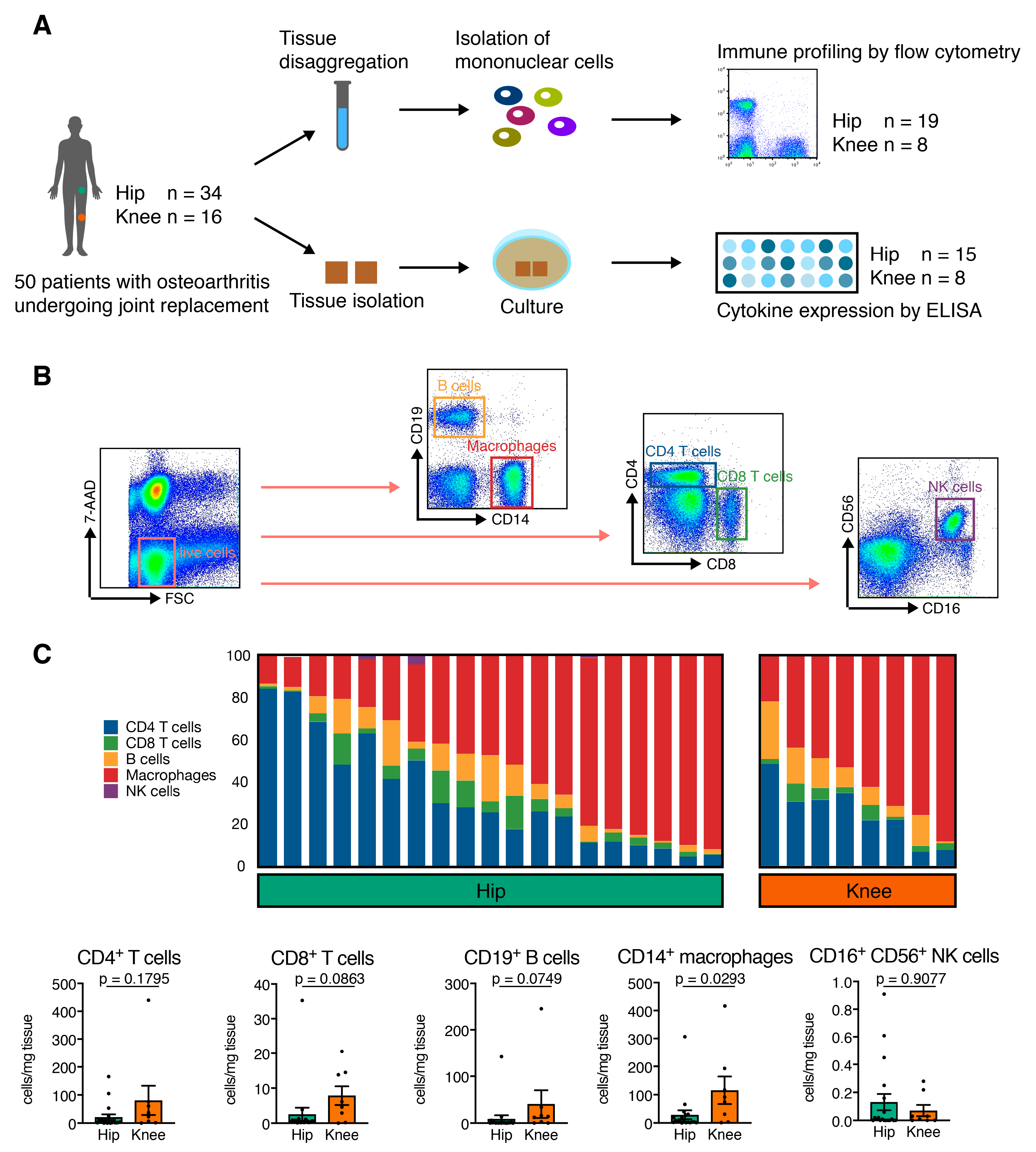 Jcm 08 01631 g001 Jcm 08 01631 g001