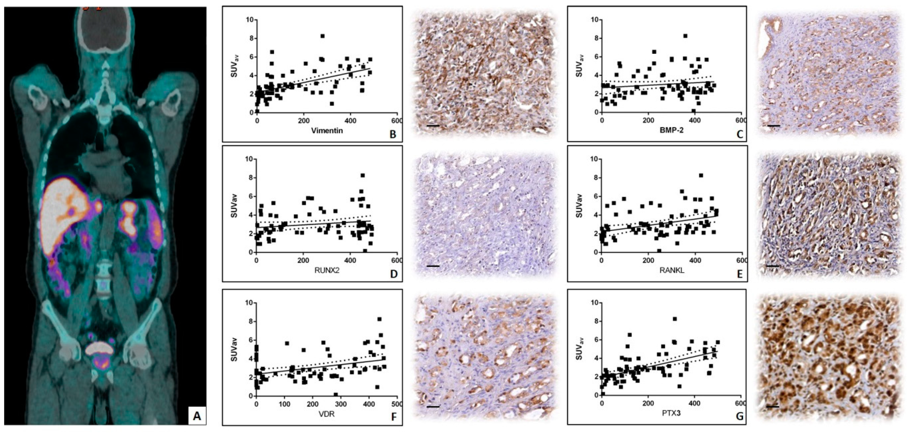 Jcm 08 01657 g002 Jcm 08 01657 g002