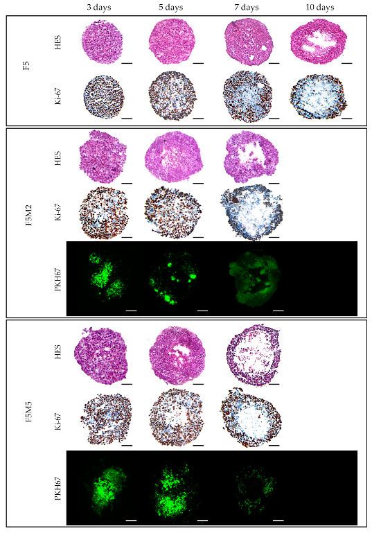 Jcm 08 01686 g002 Jcm 08 01686 g002