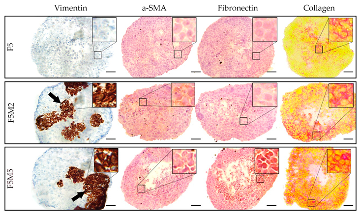 Jcm 08 01686 g003 Jcm 08 01686 g003