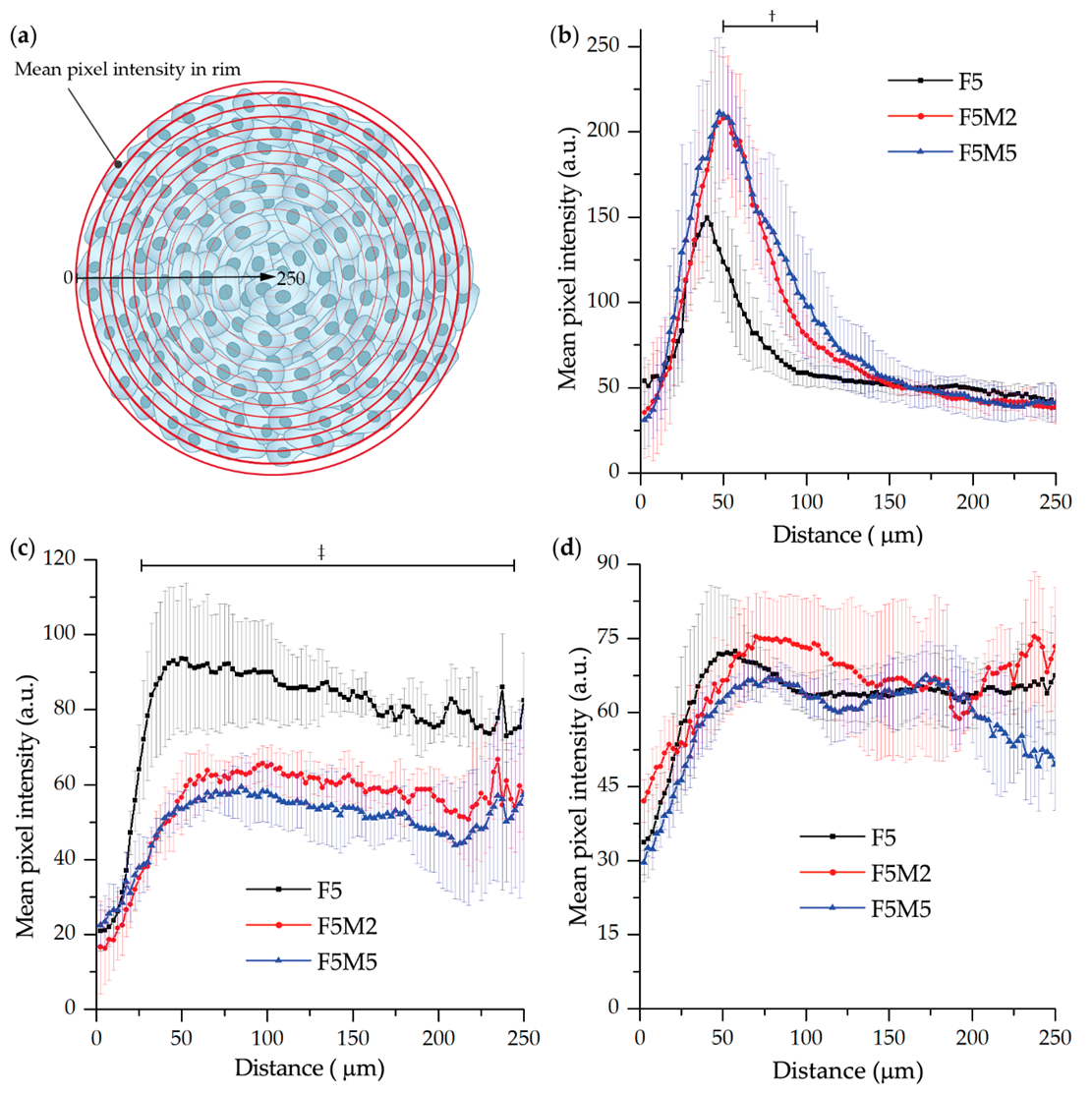 Jcm 08 01686 g005 Jcm 08 01686 g005