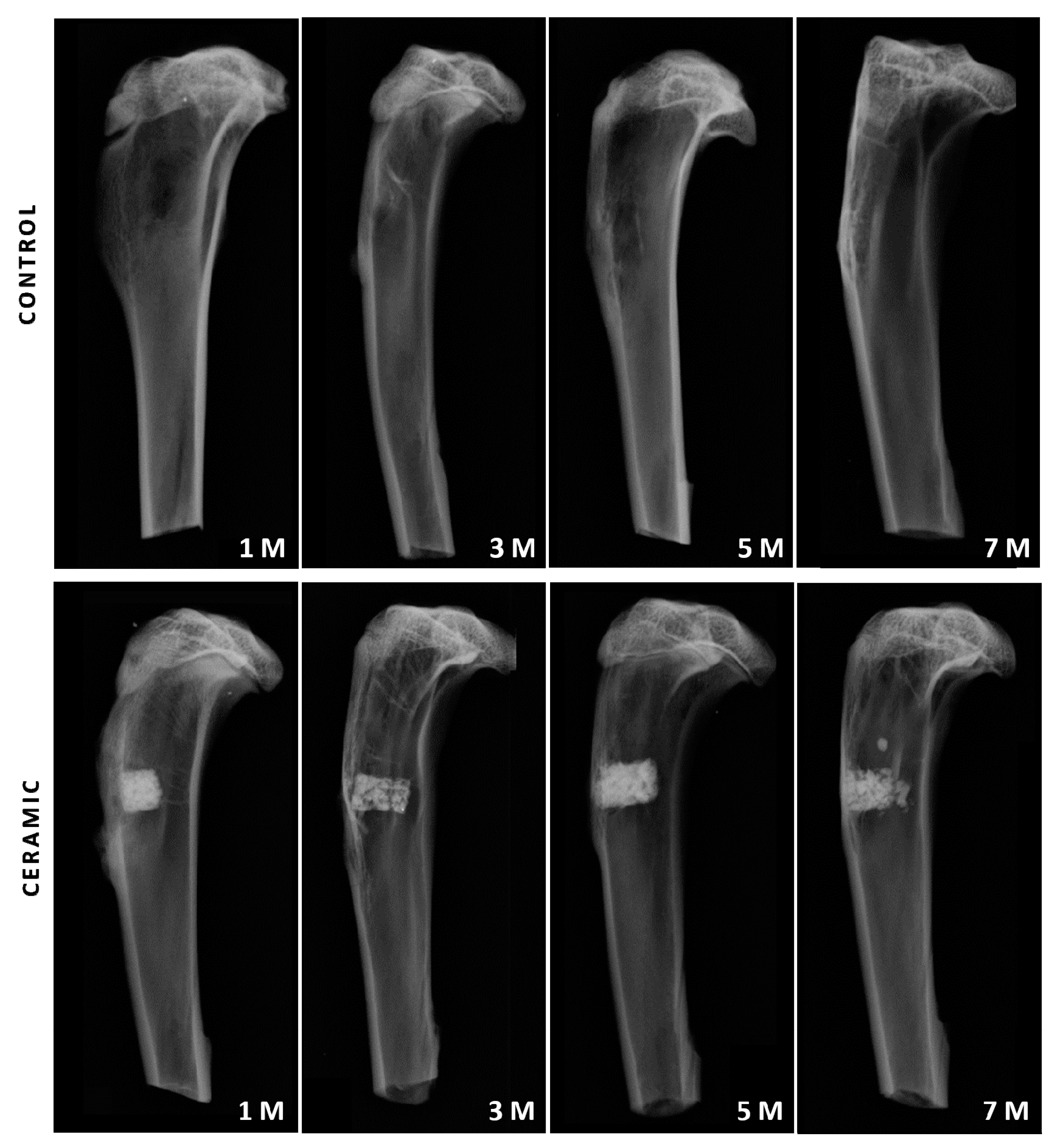 Jcm 08 01714 g003 Jcm 08 01714 g003