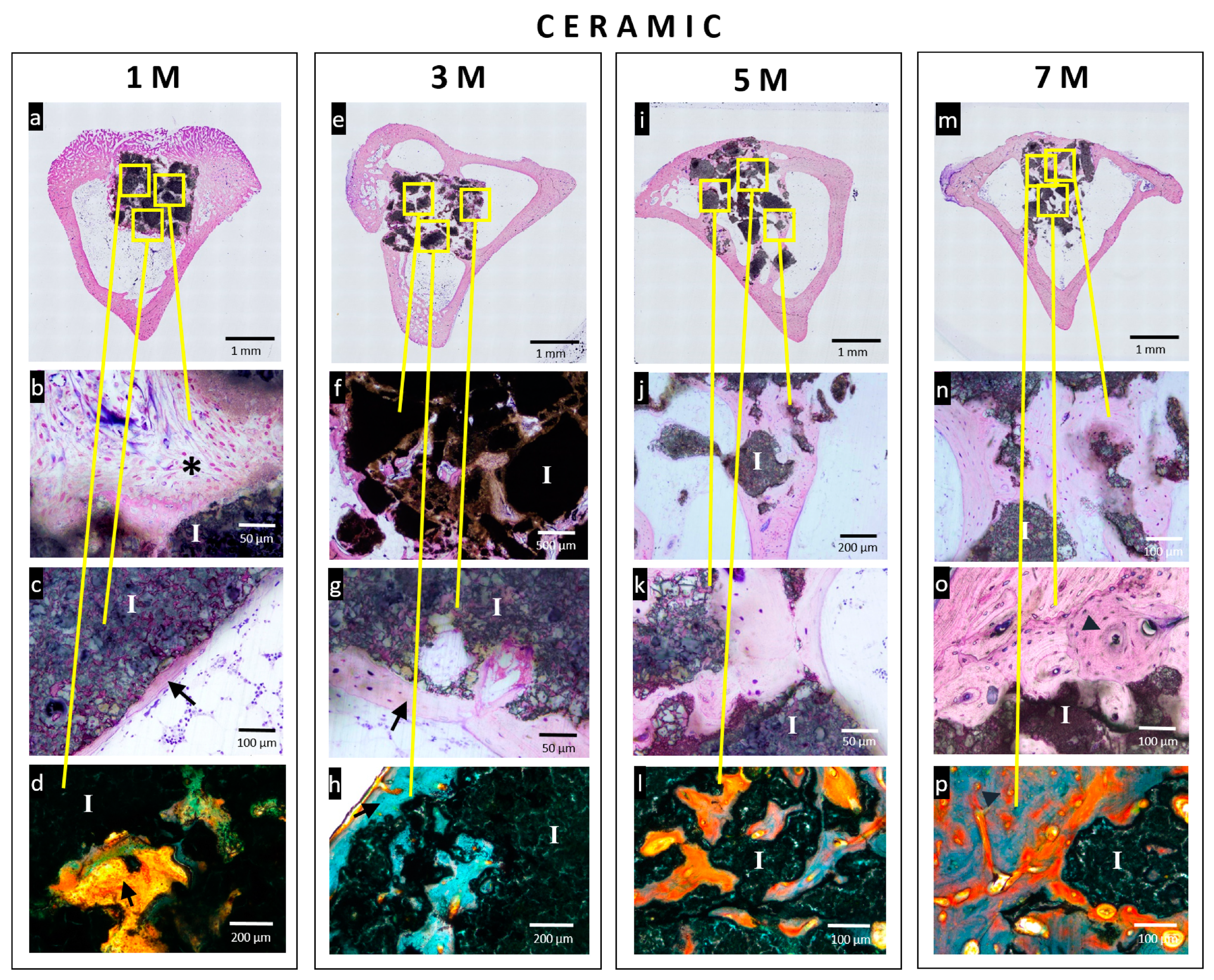 Jcm 08 01714 g006 Jcm 08 01714 g006