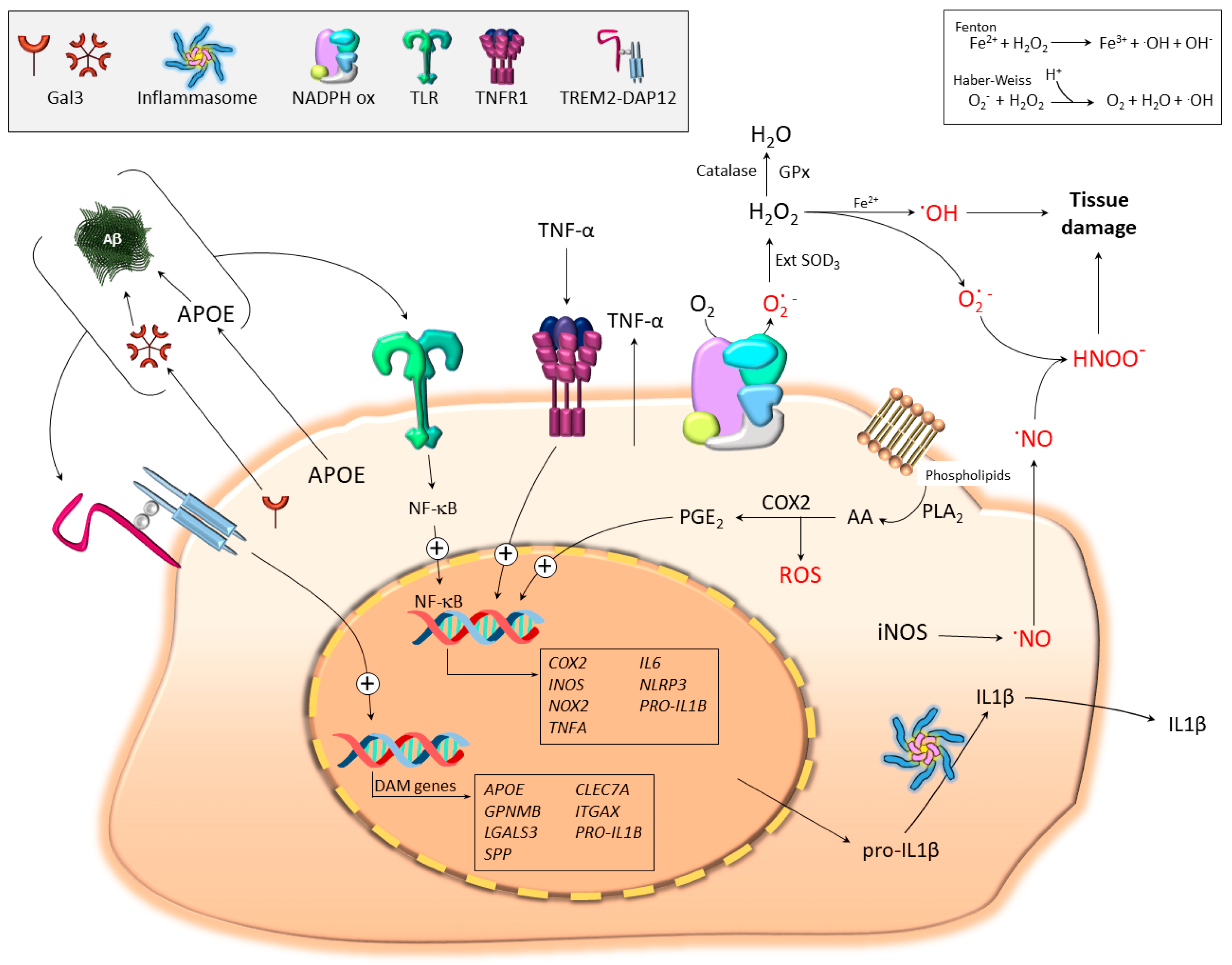Jcm 08 01719 g002 Jcm 08 01719 g002