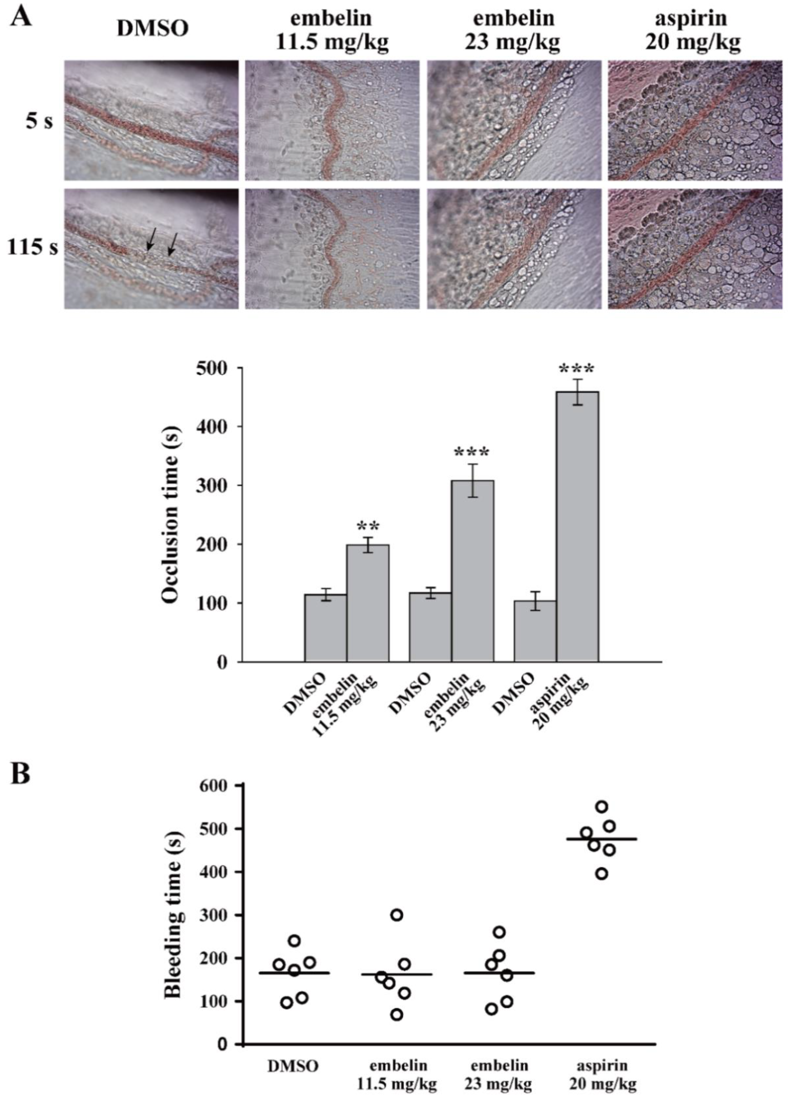 Jcm 08 01724 g004 Jcm 08 01724 g004