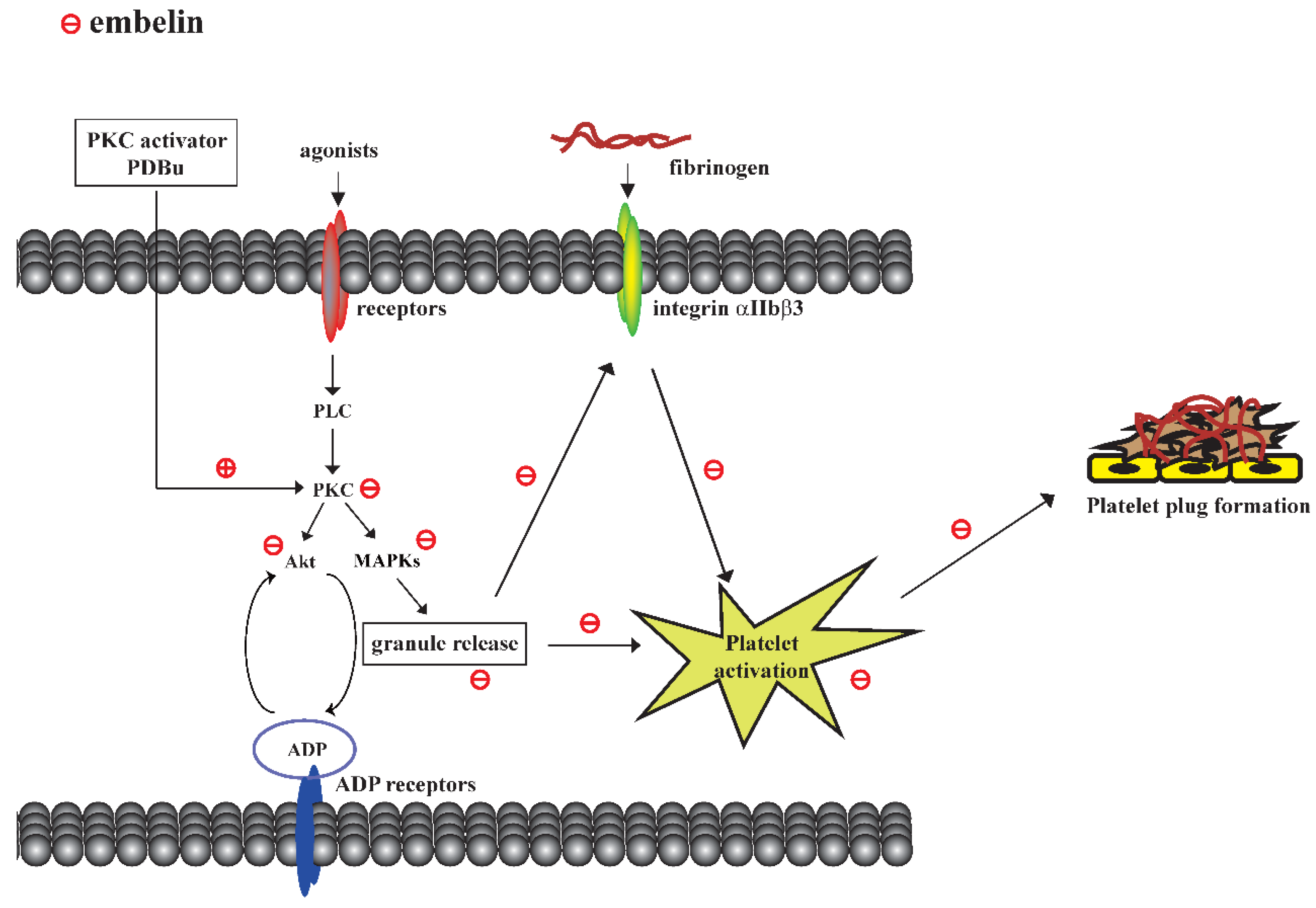 Jcm 08 01724 g005 Jcm 08 01724 g005