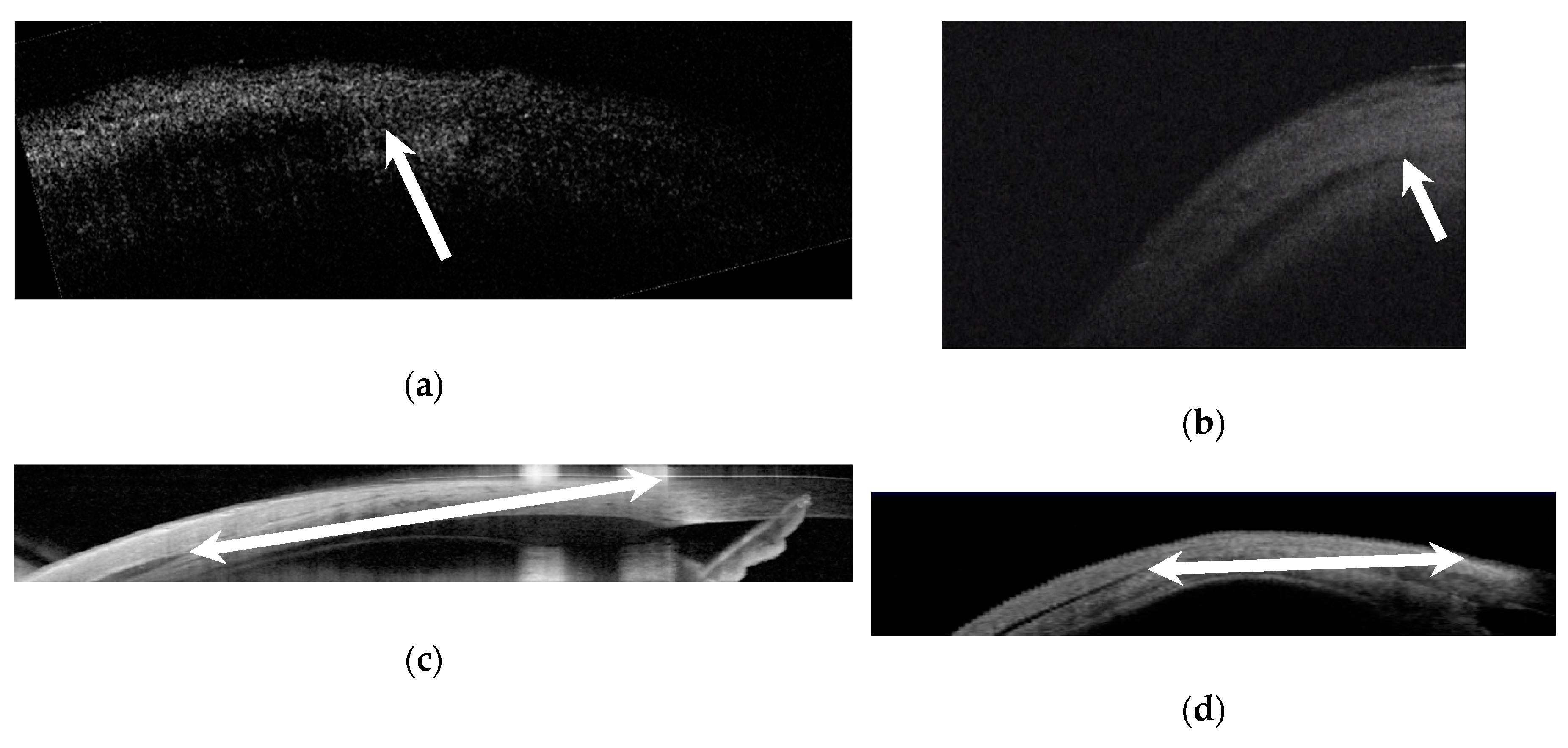 Jcm 08 01732 g001 Jcm 08 01732 g001