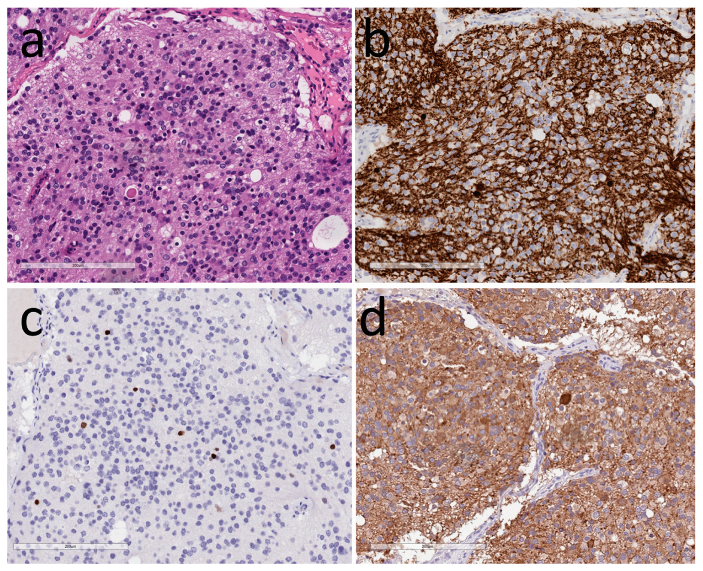 Jcm 08 01741 g002 Jcm 08 01741 g002