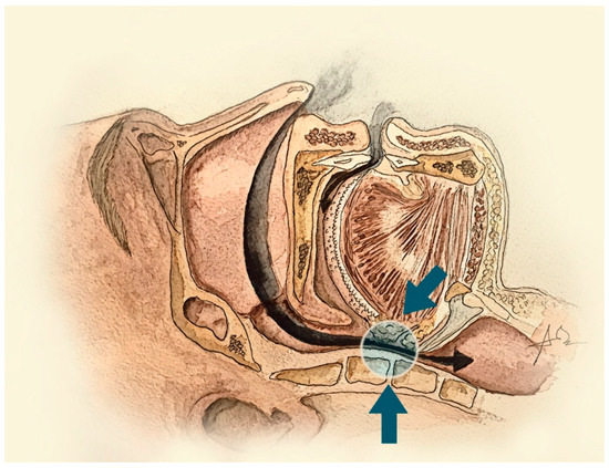 Jcm October 2019 Browse Articles