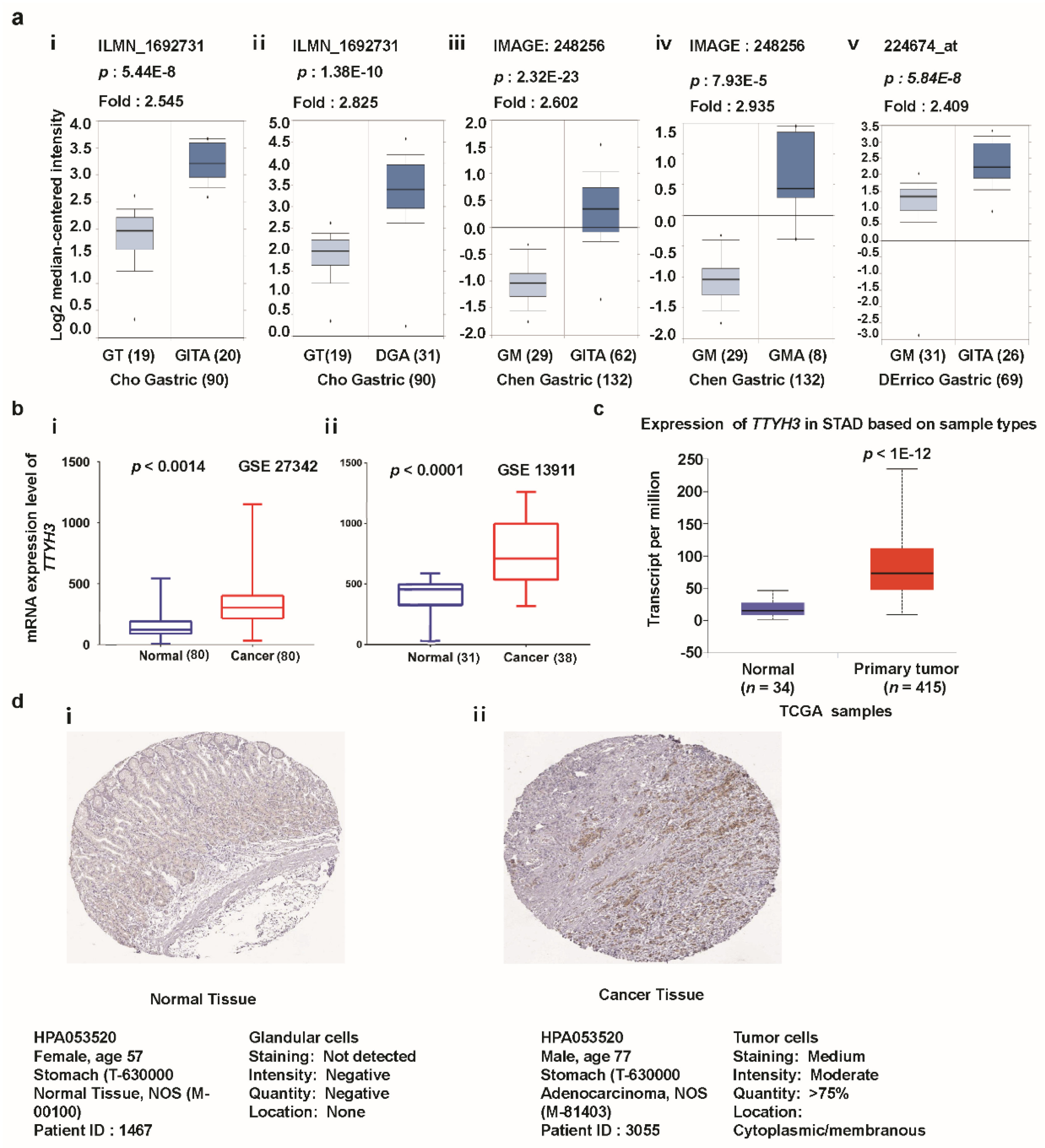 Jcm 08 01762 g002 Jcm 08 01762 g002
