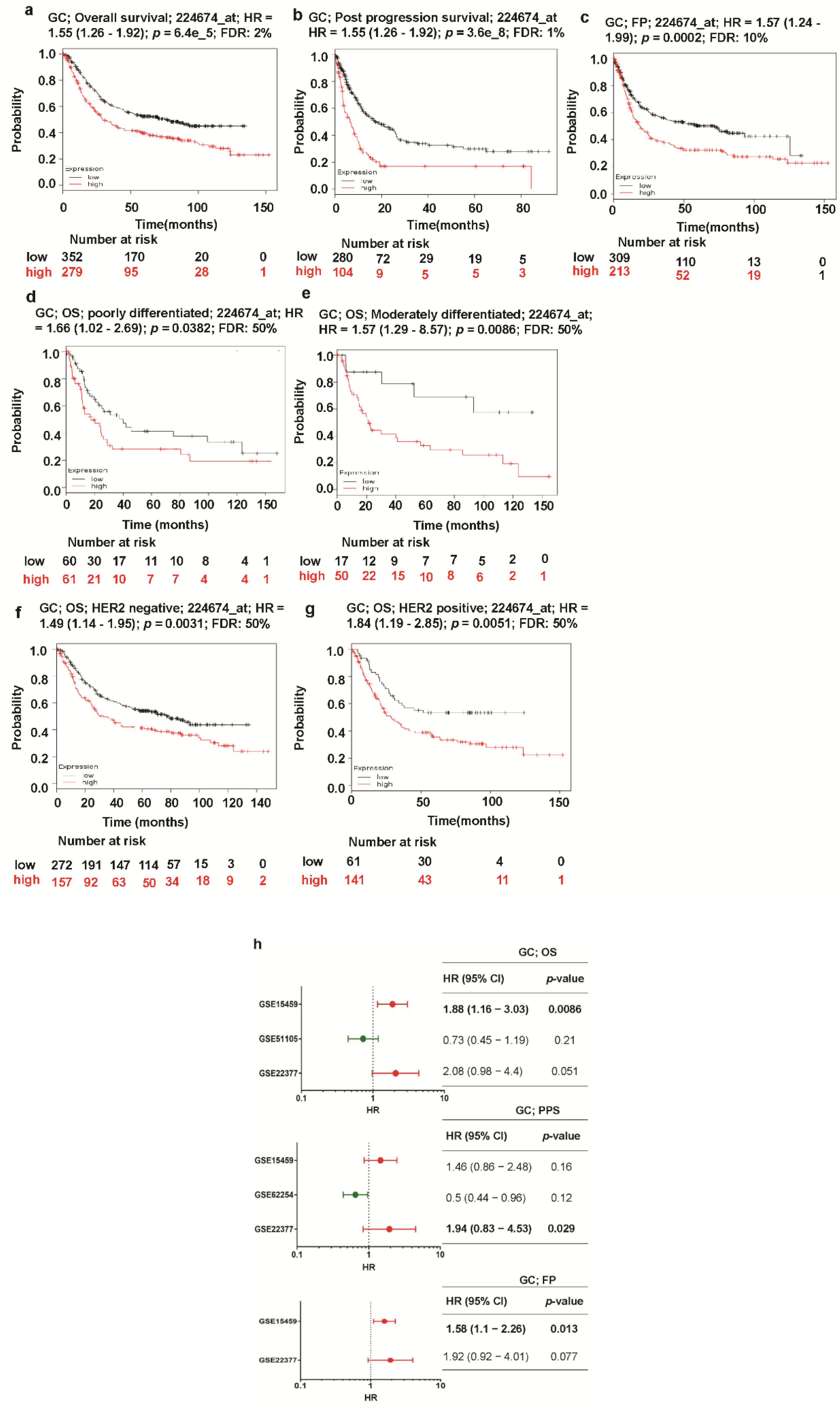 Jcm 08 01762 g006 Jcm 08 01762 g006