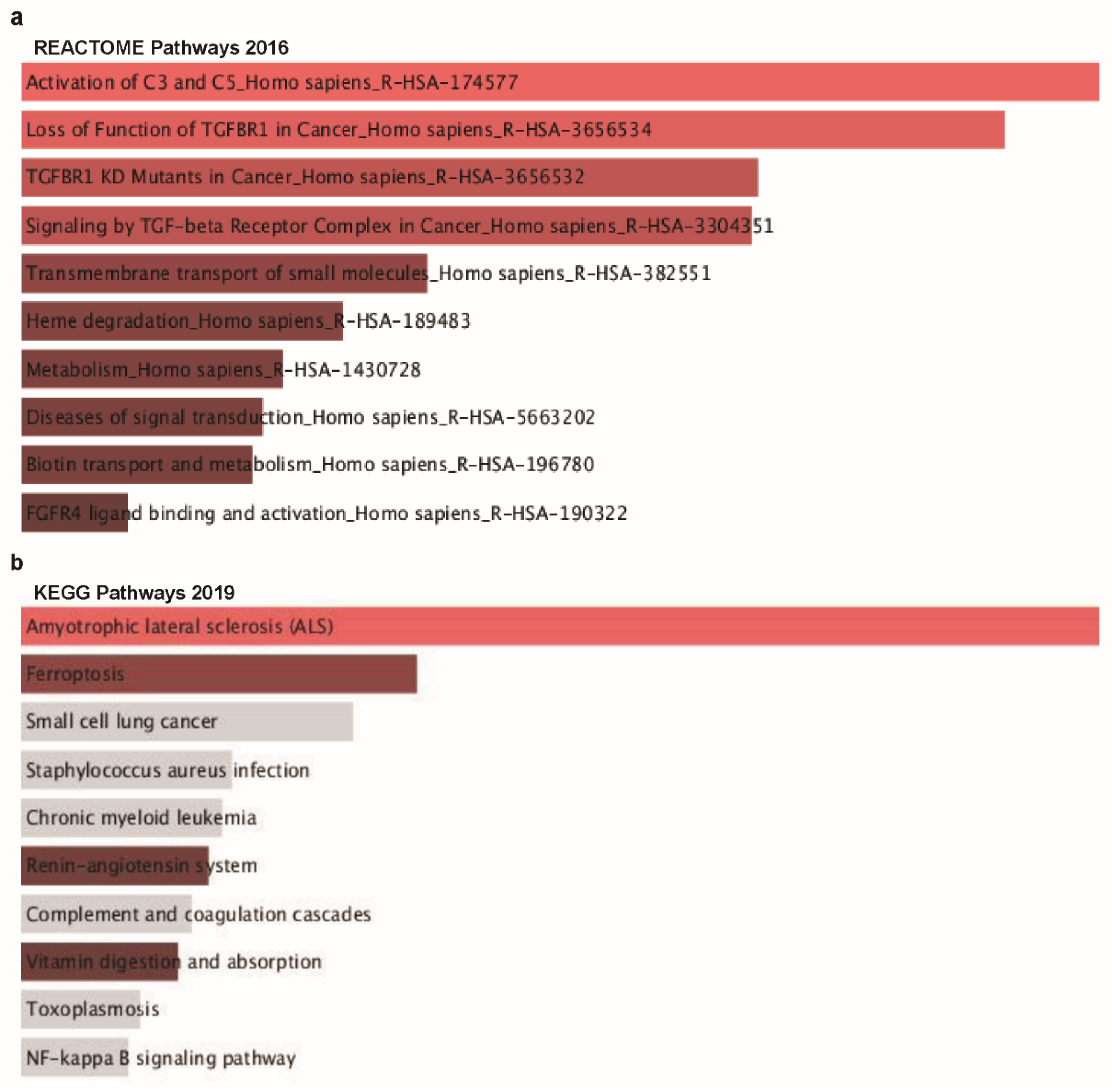 Jcm 08 01762 g008a Jcm 08 01762 g008a