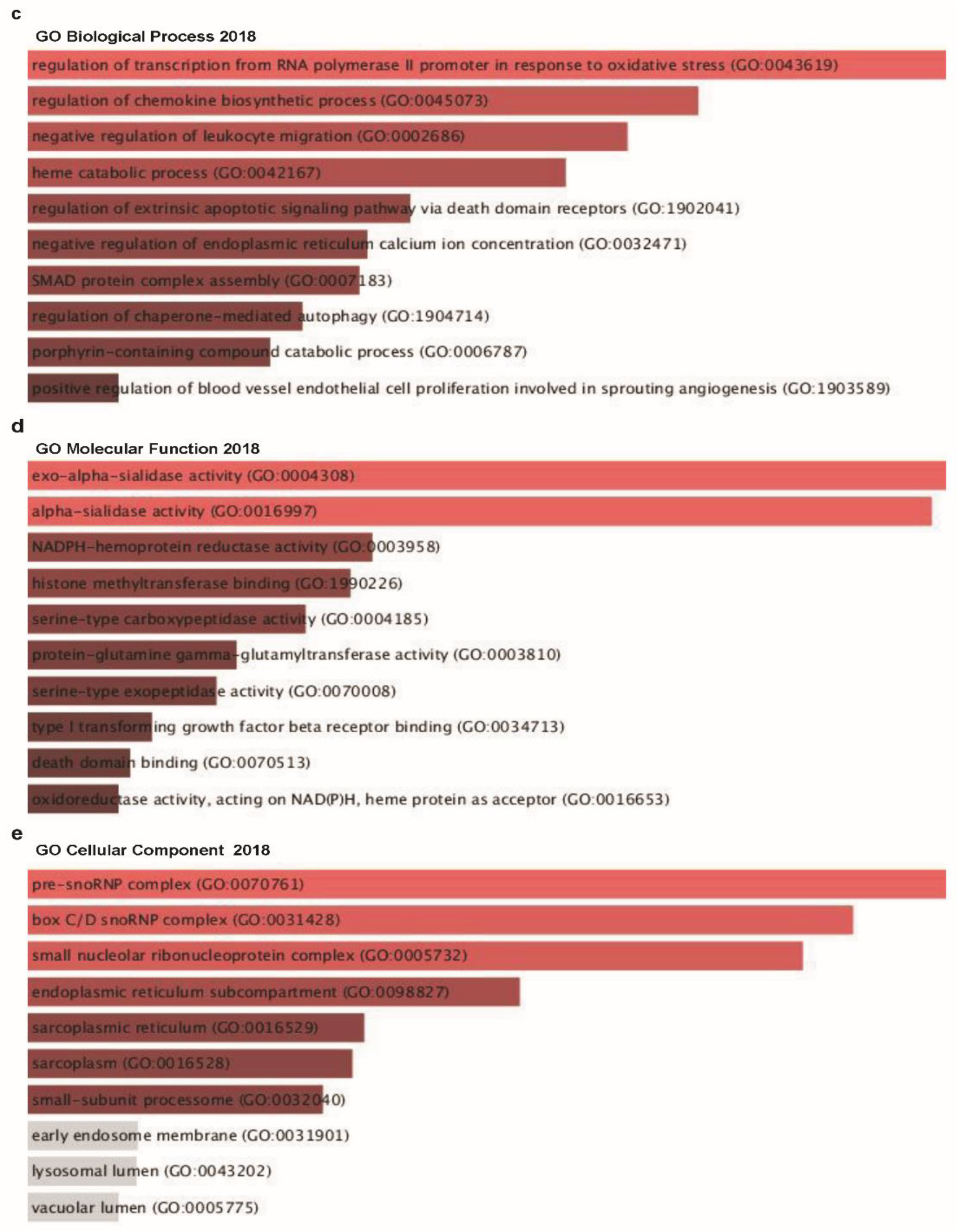 Jcm 08 01762 g008b Jcm 08 01762 g008b