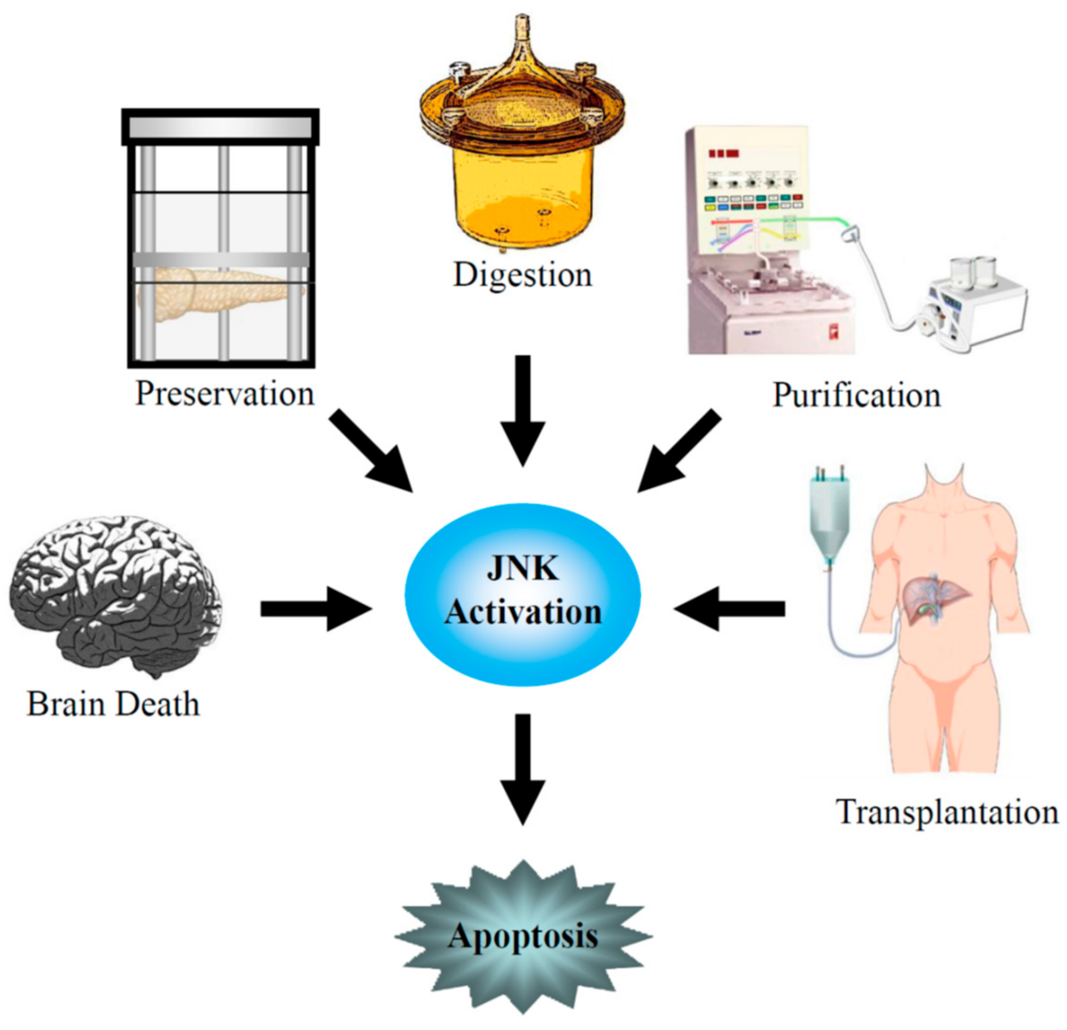 Jcm 08 01763 g001 Jcm 08 01763 g001