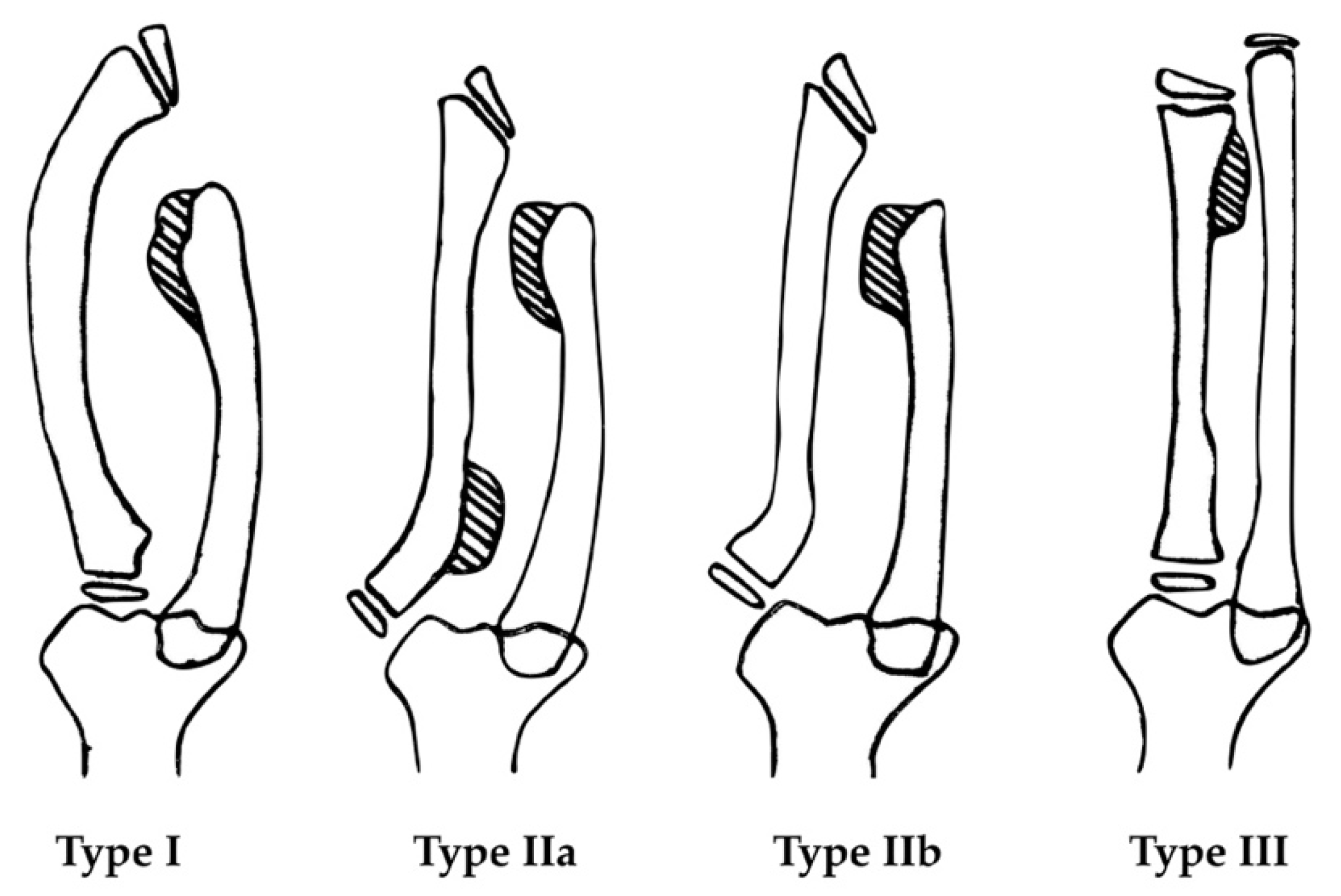 Jcm 08 01765 g001 Jcm 08 01765 g001