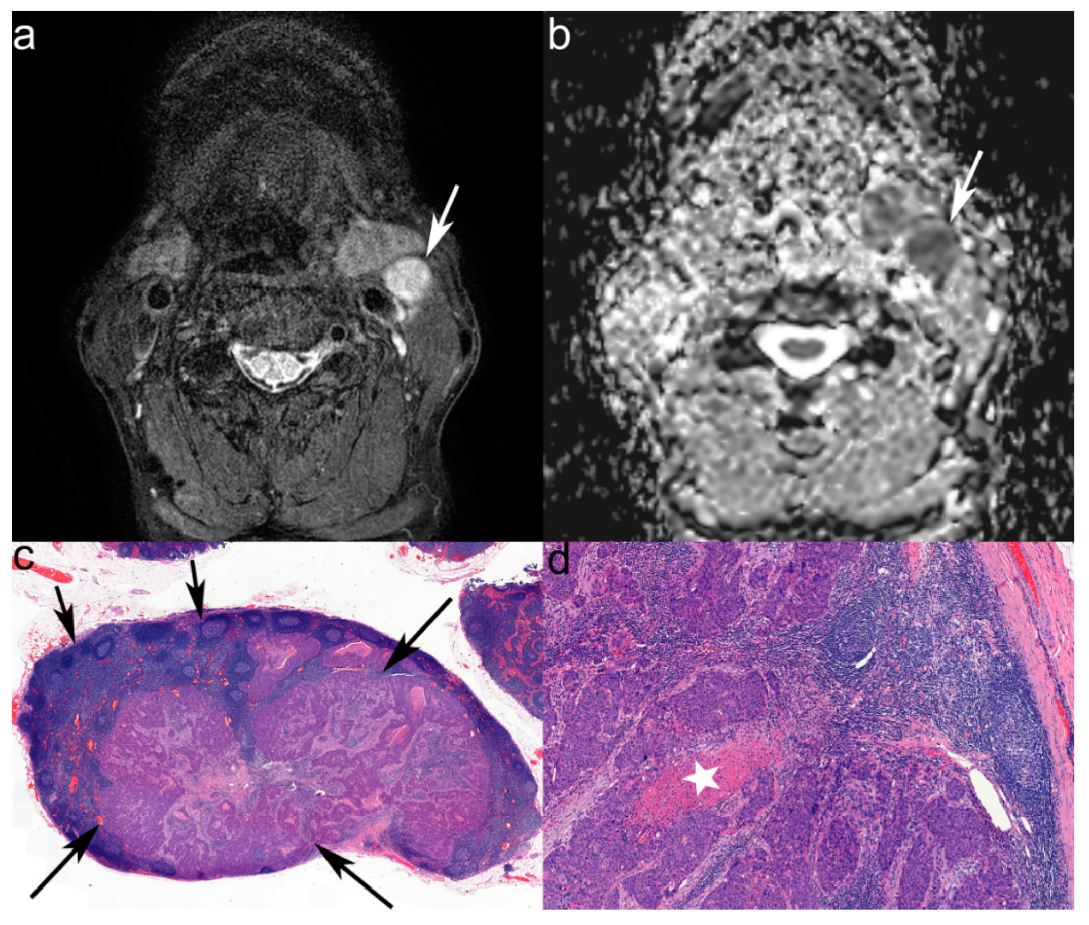 Jcm 08 01767 g003 Jcm 08 01767 g003