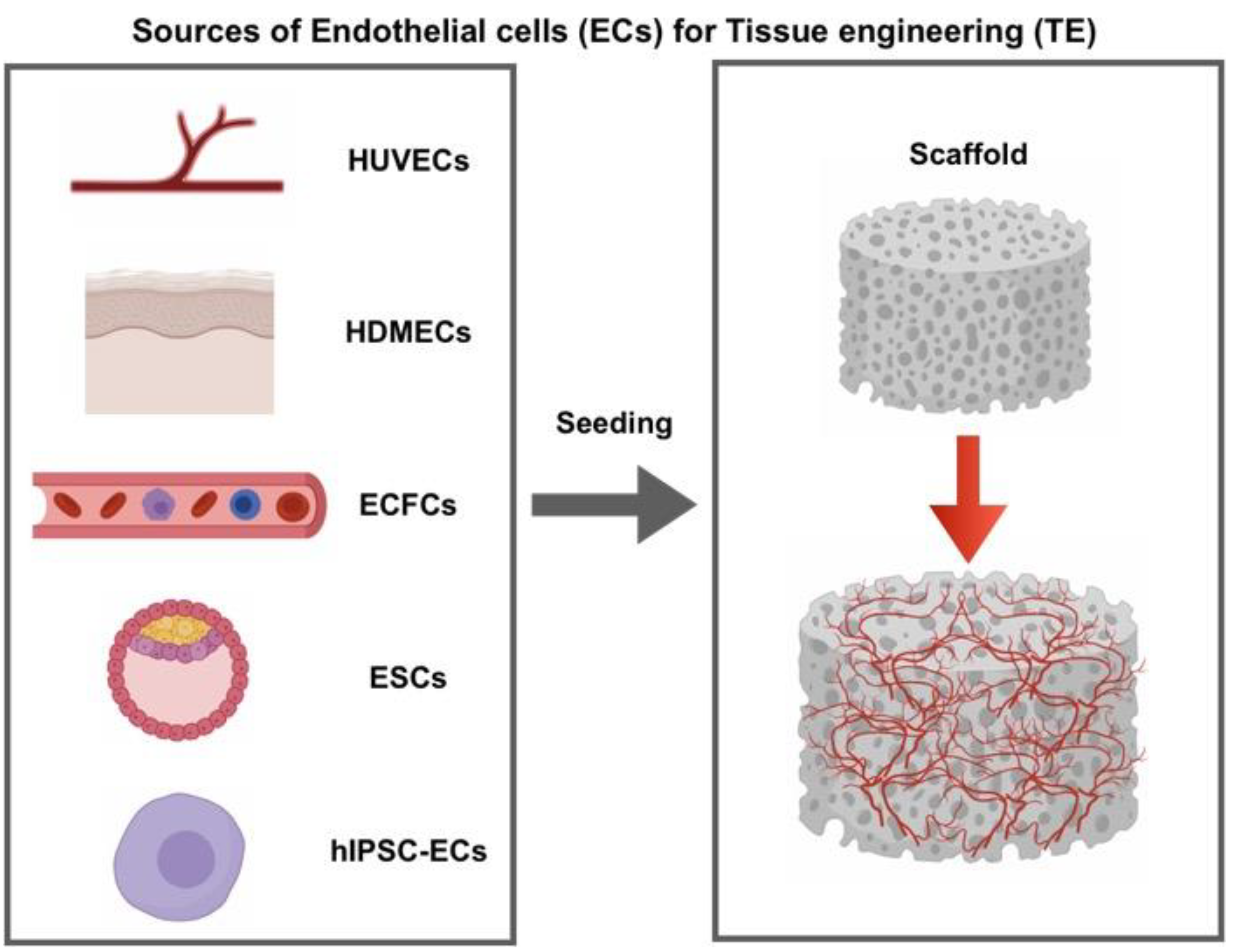 Jcm 08 01782 g001 Jcm 08 01782 g001
