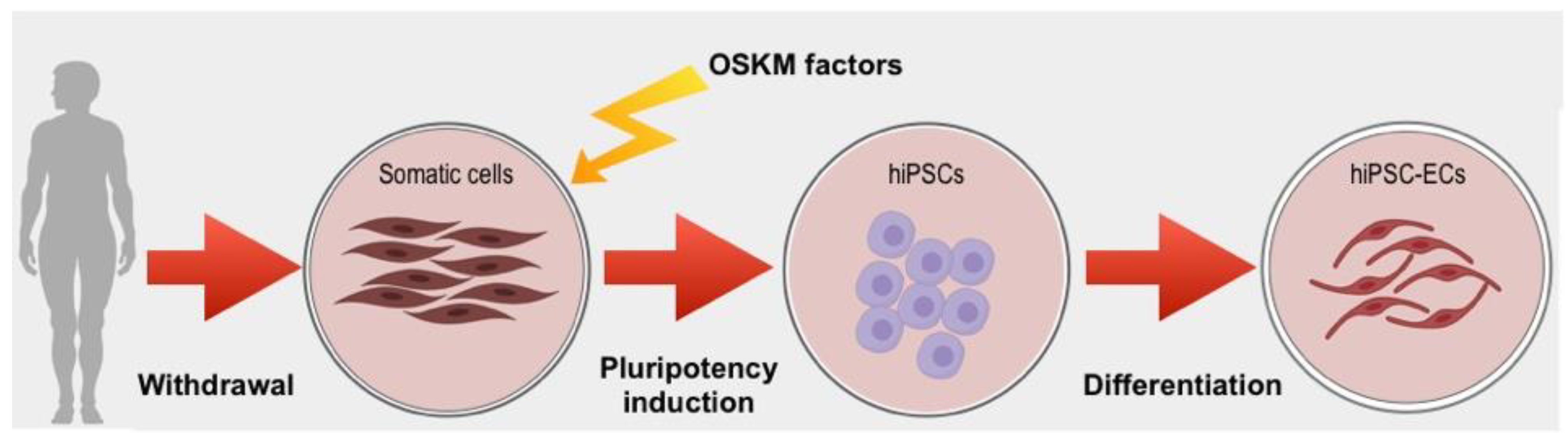 Jcm 08 01782 g002 Jcm 08 01782 g002