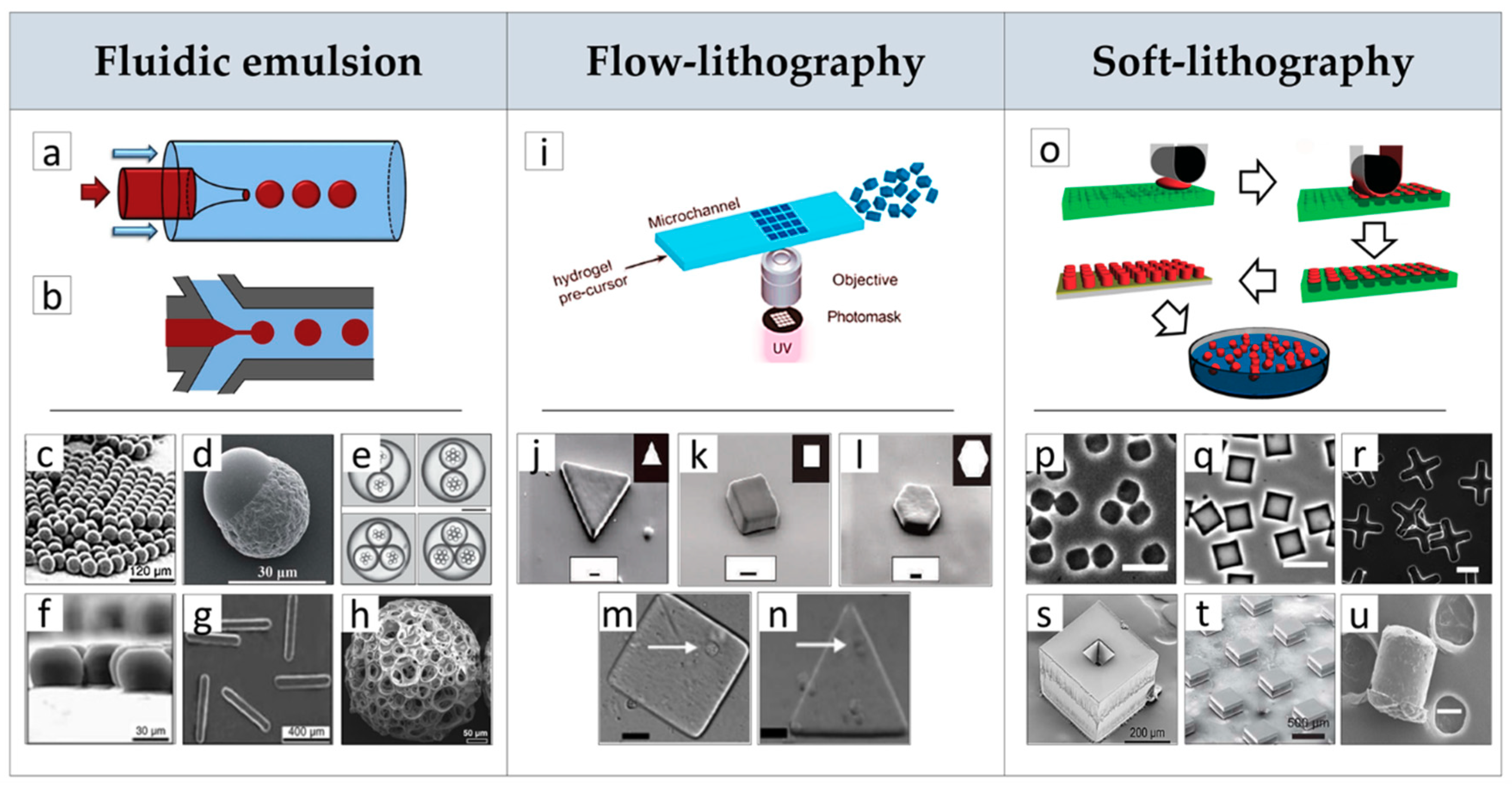 Jcm 08 01816 g001 Jcm 08 01816 g001