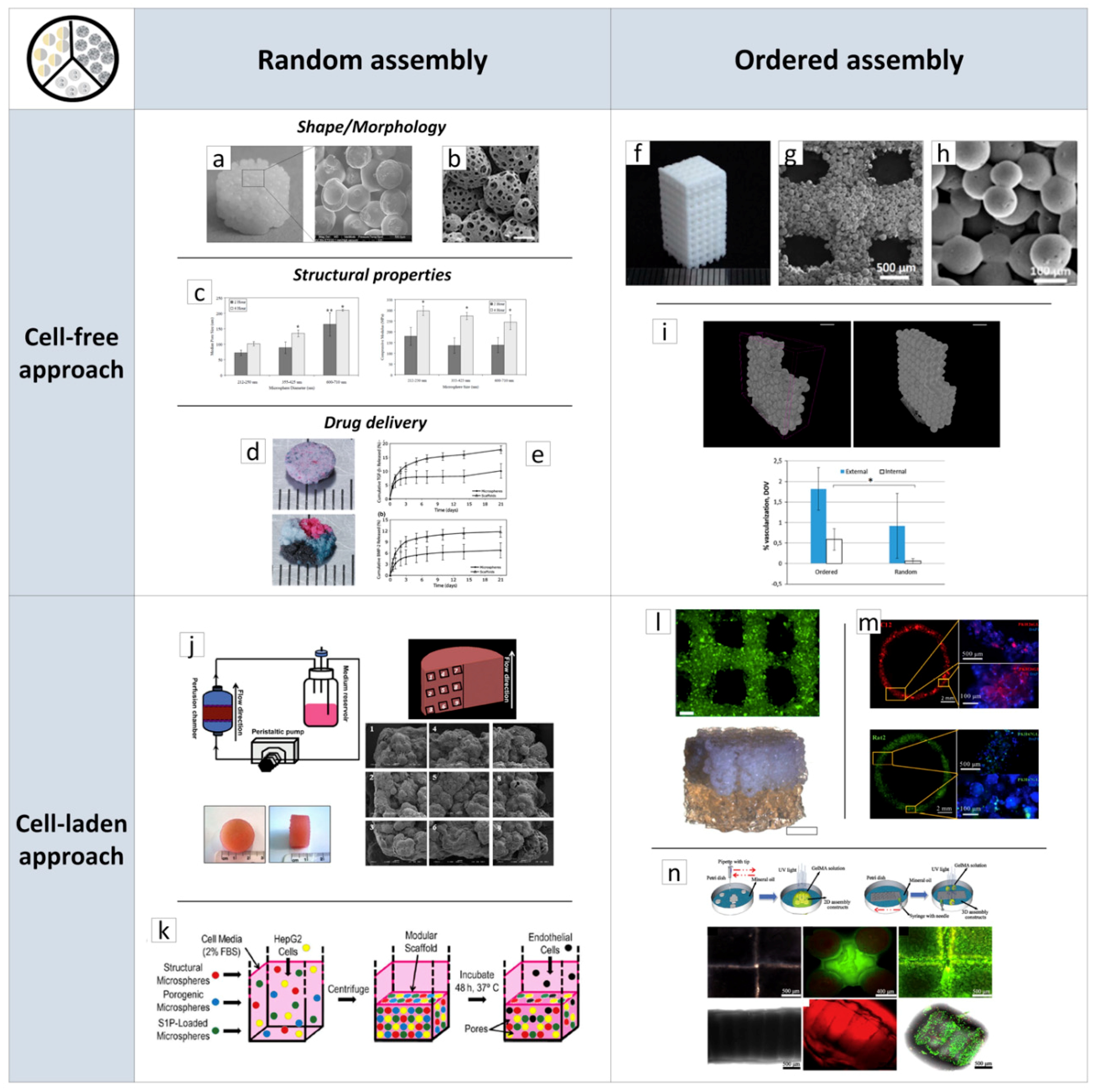 Jcm 08 01816 g002 Jcm 08 01816 g002
