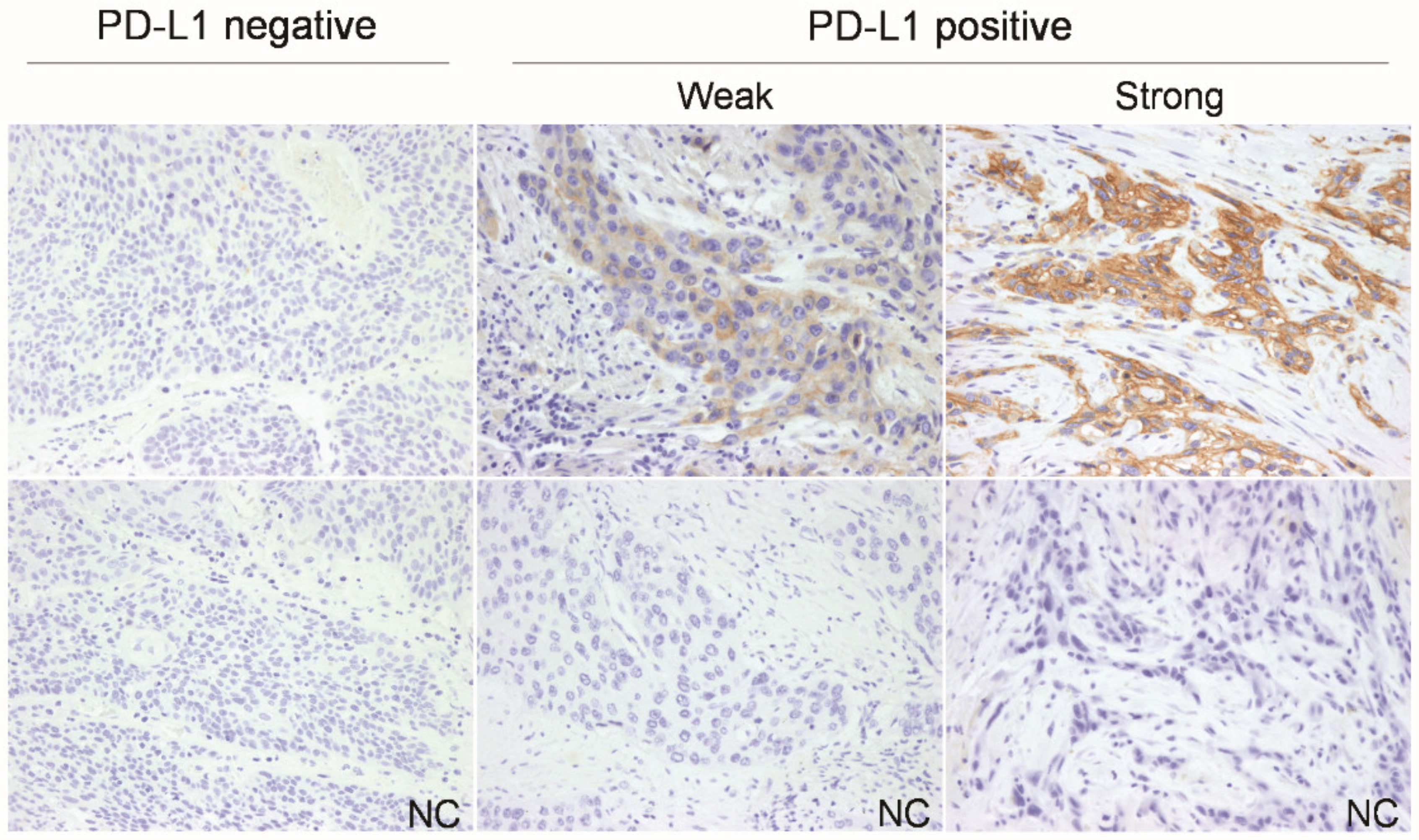 Jcm 08 01864 g001 Jcm 08 01864 g001