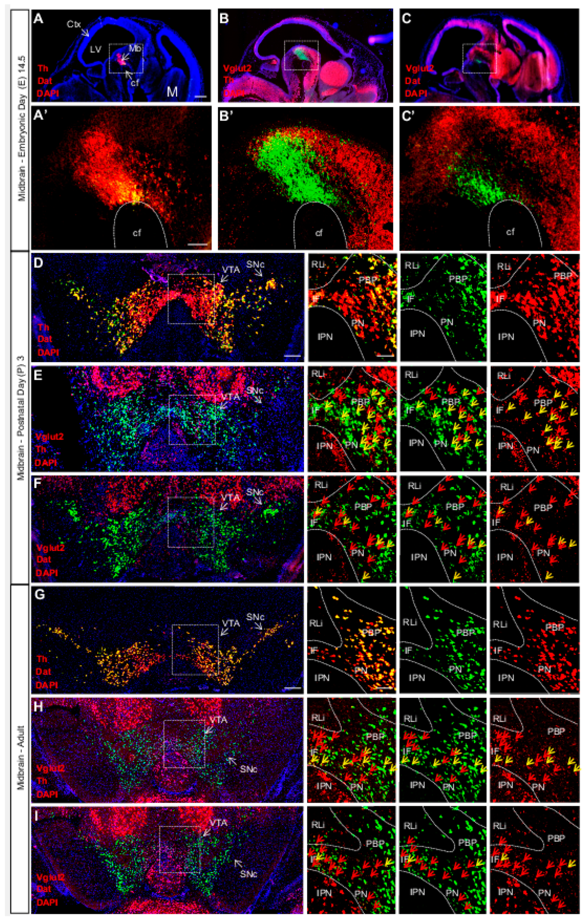 Jcm 08 01887 g003 Jcm 08 01887 g003