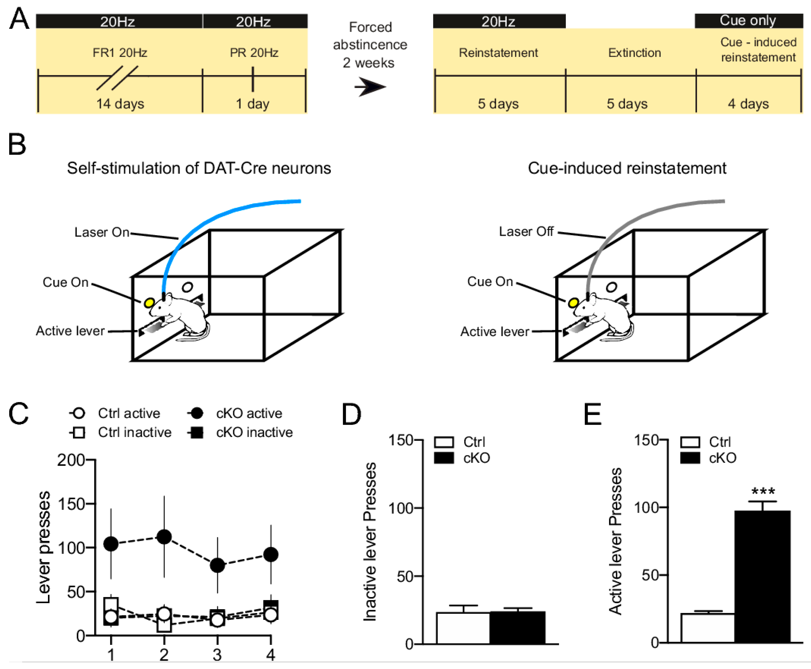 Jcm 08 01887 g007 Jcm 08 01887 g007
