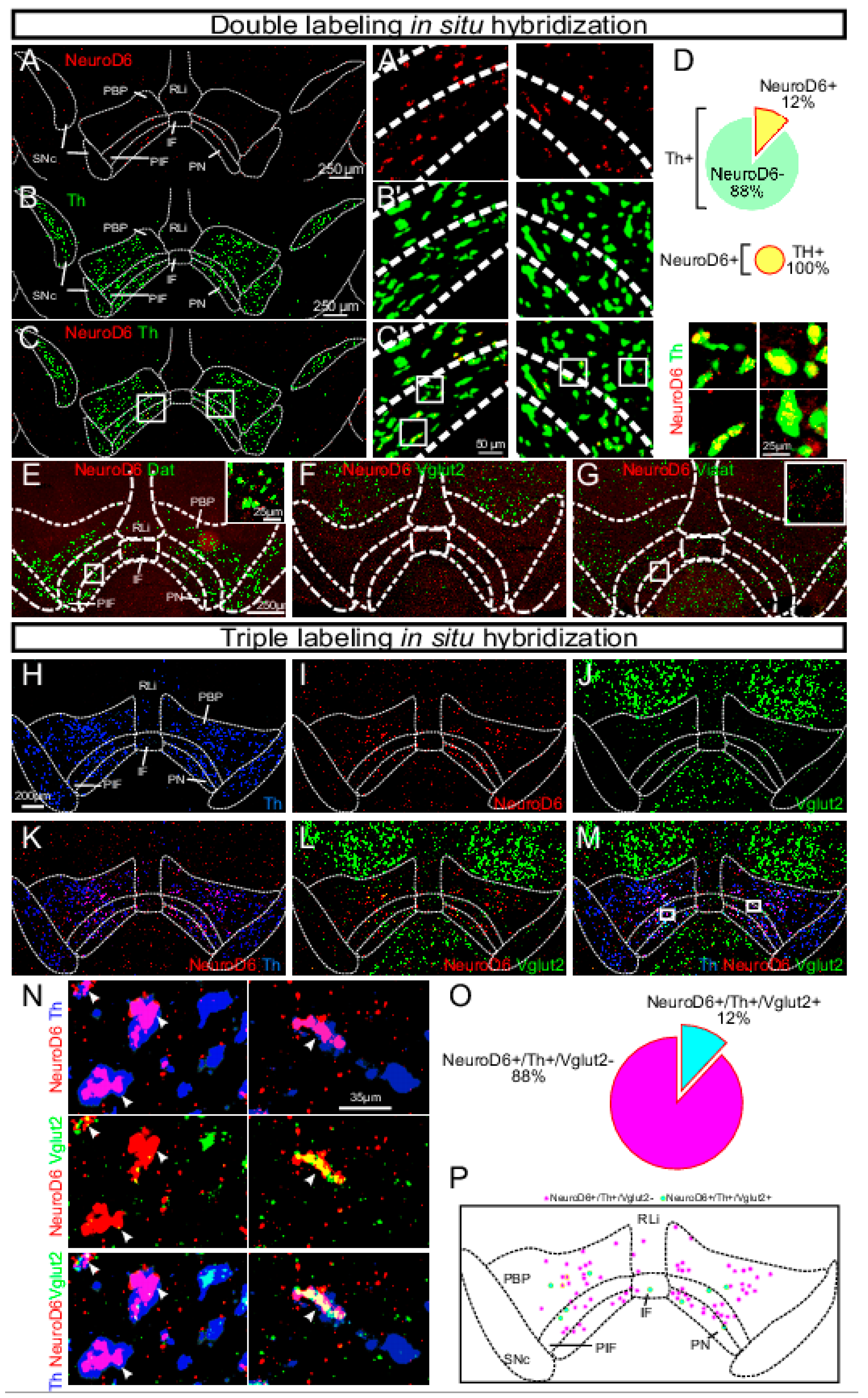 Jcm 08 01887 g010 Jcm 08 01887 g010