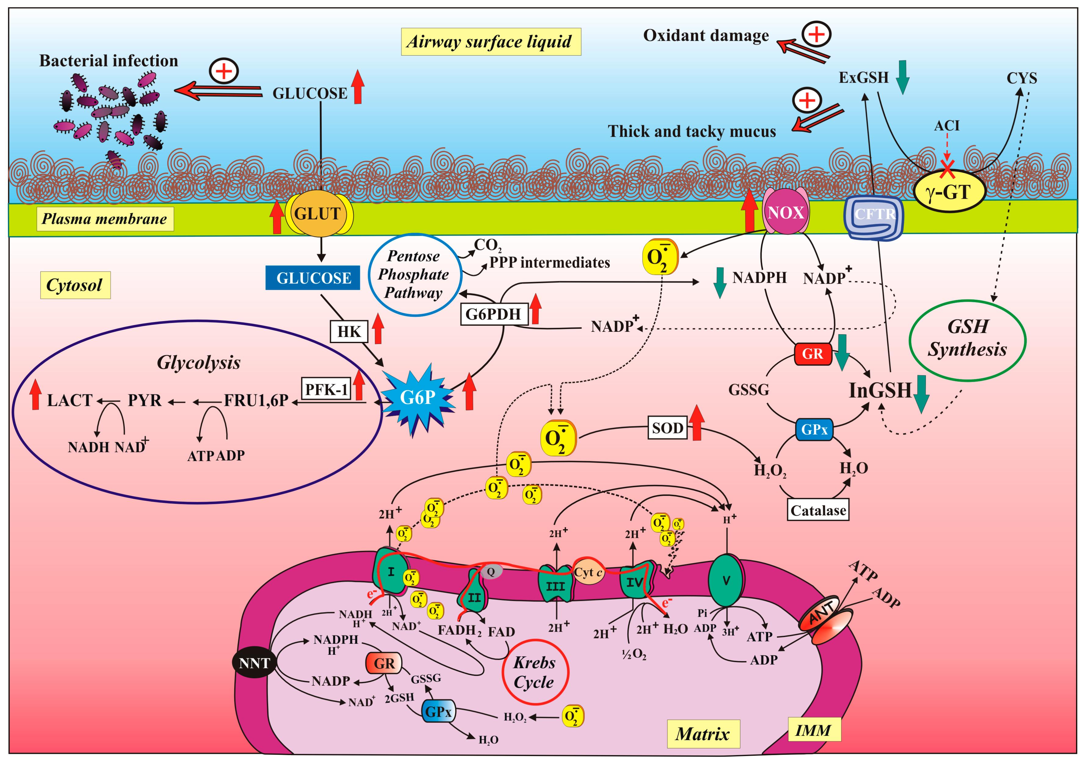 Jcm 08 01890 g002 Jcm 08 01890 g002