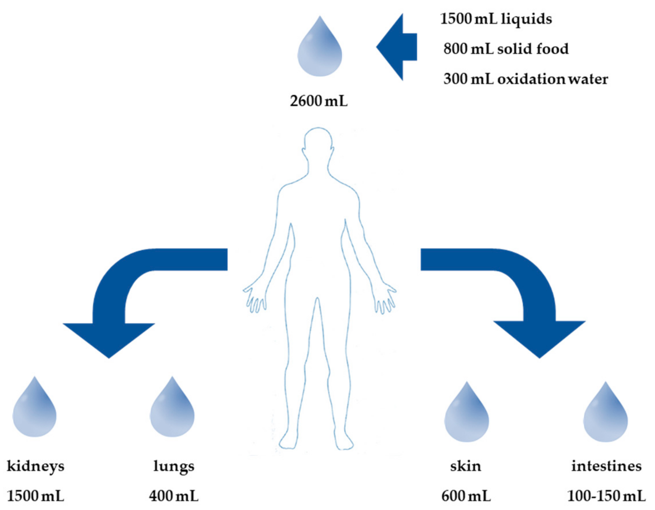 JCM | Free Full-Text | Management of Dehydration in Patients Suffering Swallowing Difficulties | HTML JCM | Free Full-Text | Management of Dehydration in Patients Suffering Swallowing Difficulties | HTML