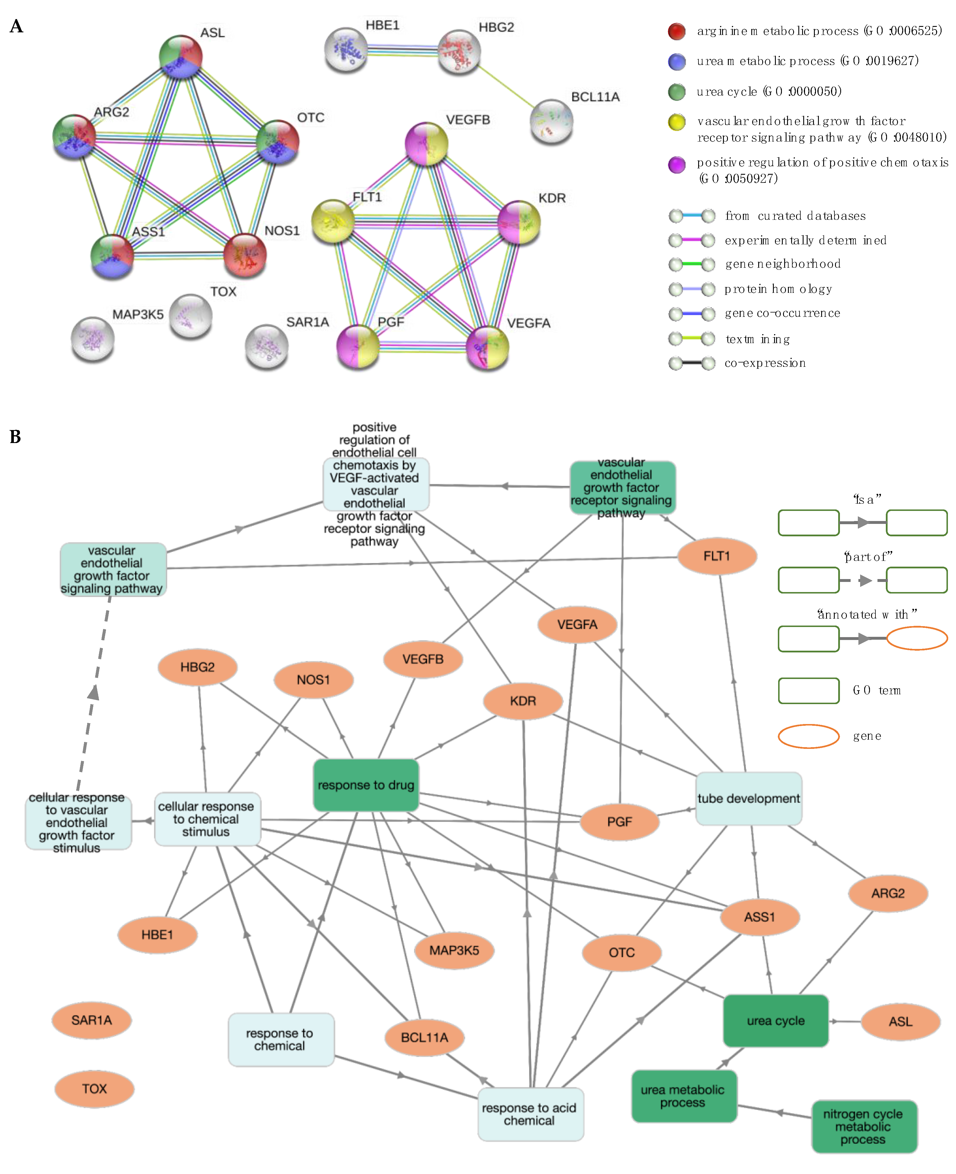 Jcm 08 01927 g005 Jcm 08 01927 g005