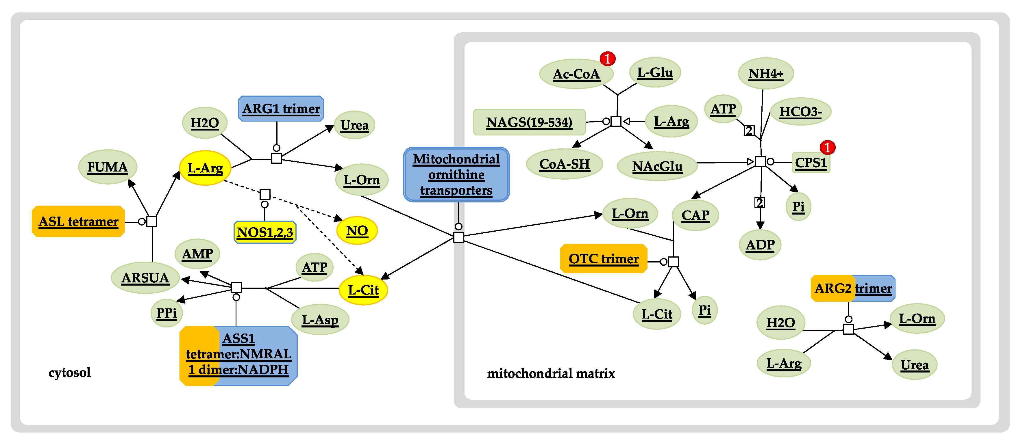 Jcm 08 01927 g006 Jcm 08 01927 g006