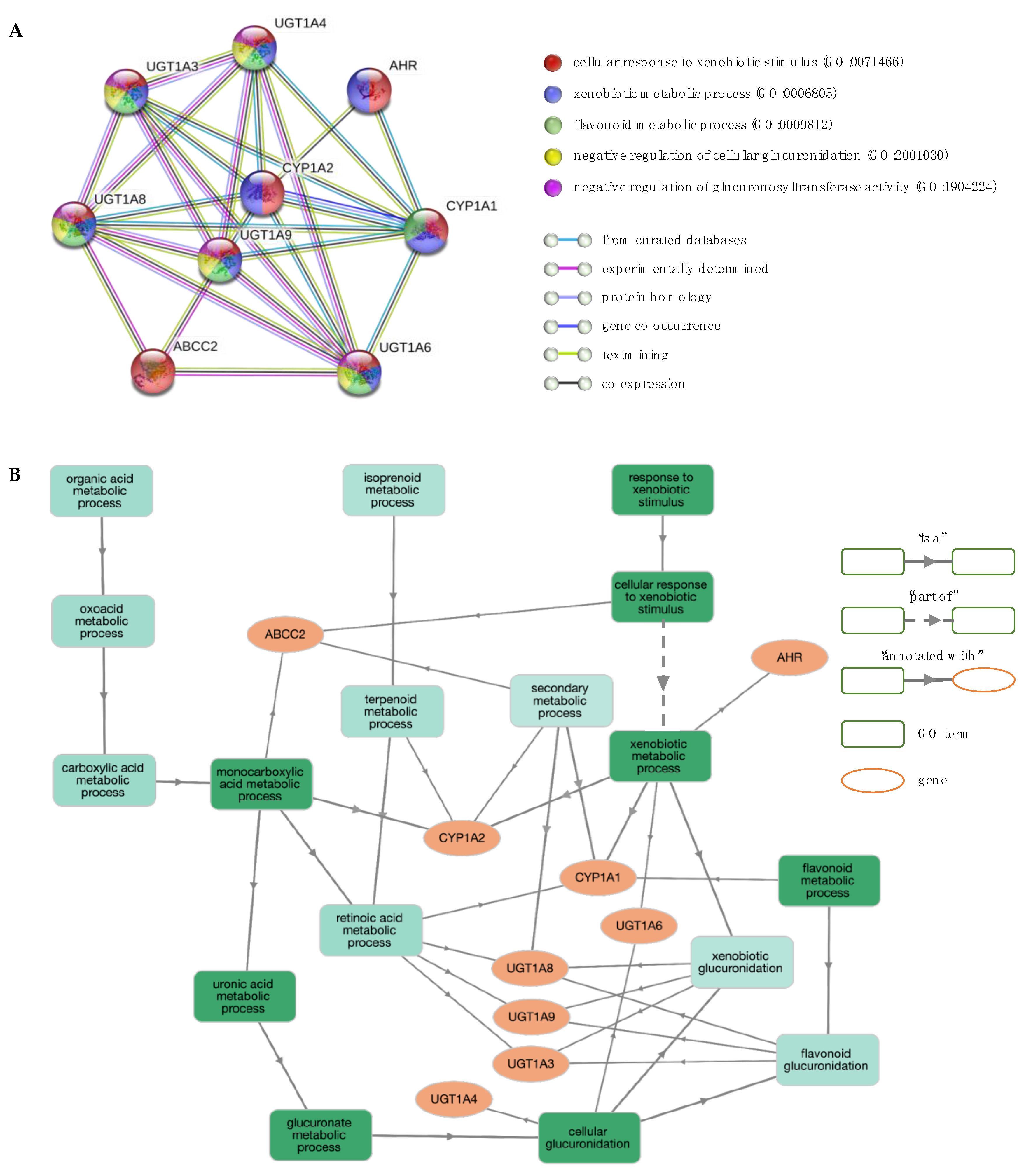 Jcm 08 01927 g007 Jcm 08 01927 g007