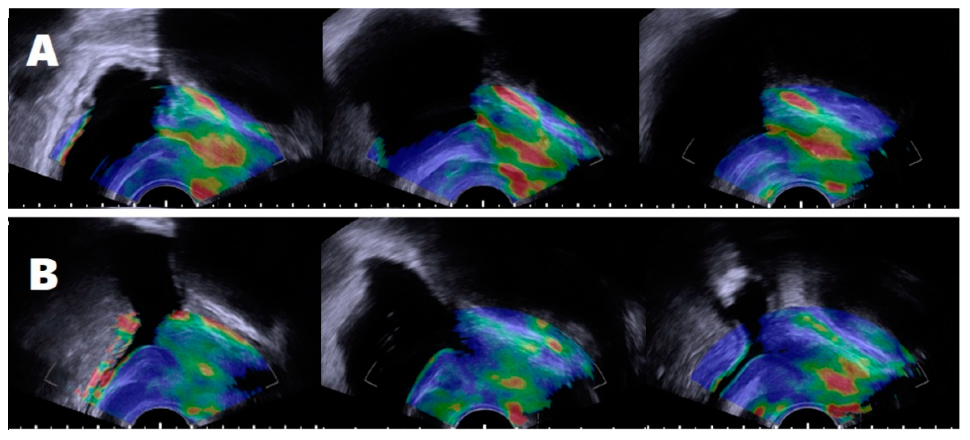 Jcm 08 01929 g002 Jcm 08 01929 g002