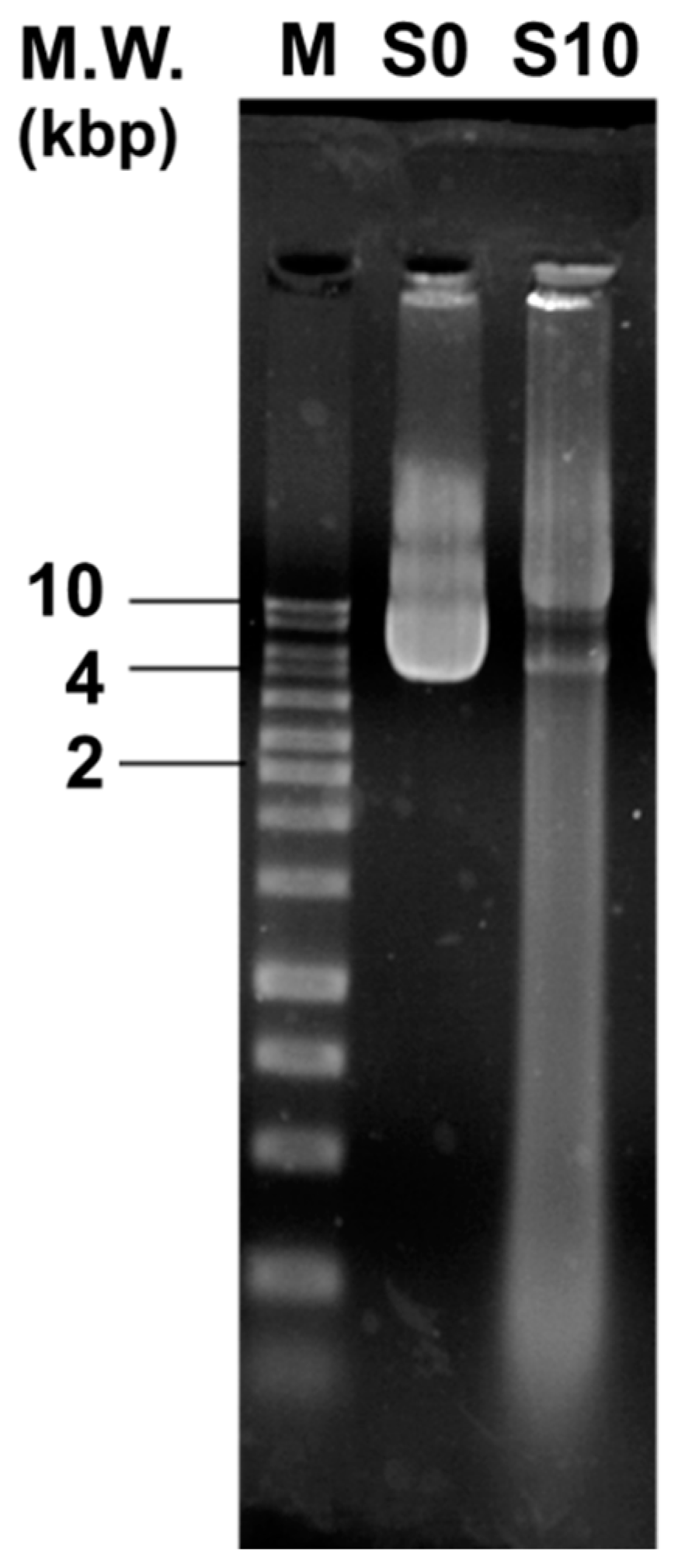 Jcm 08 01930 g007