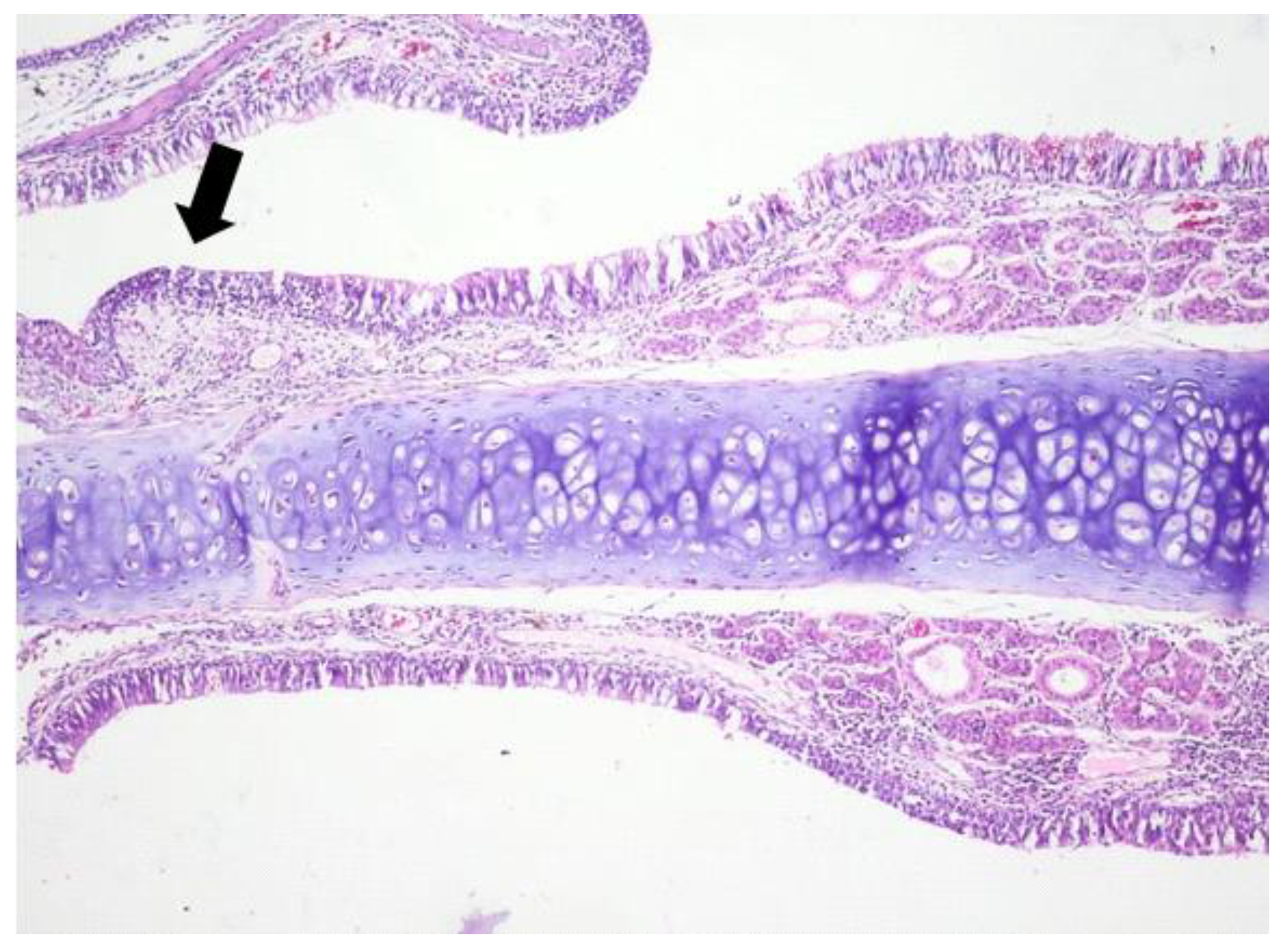 Jcm 08 01941 g001 Jcm 08 01941 g001