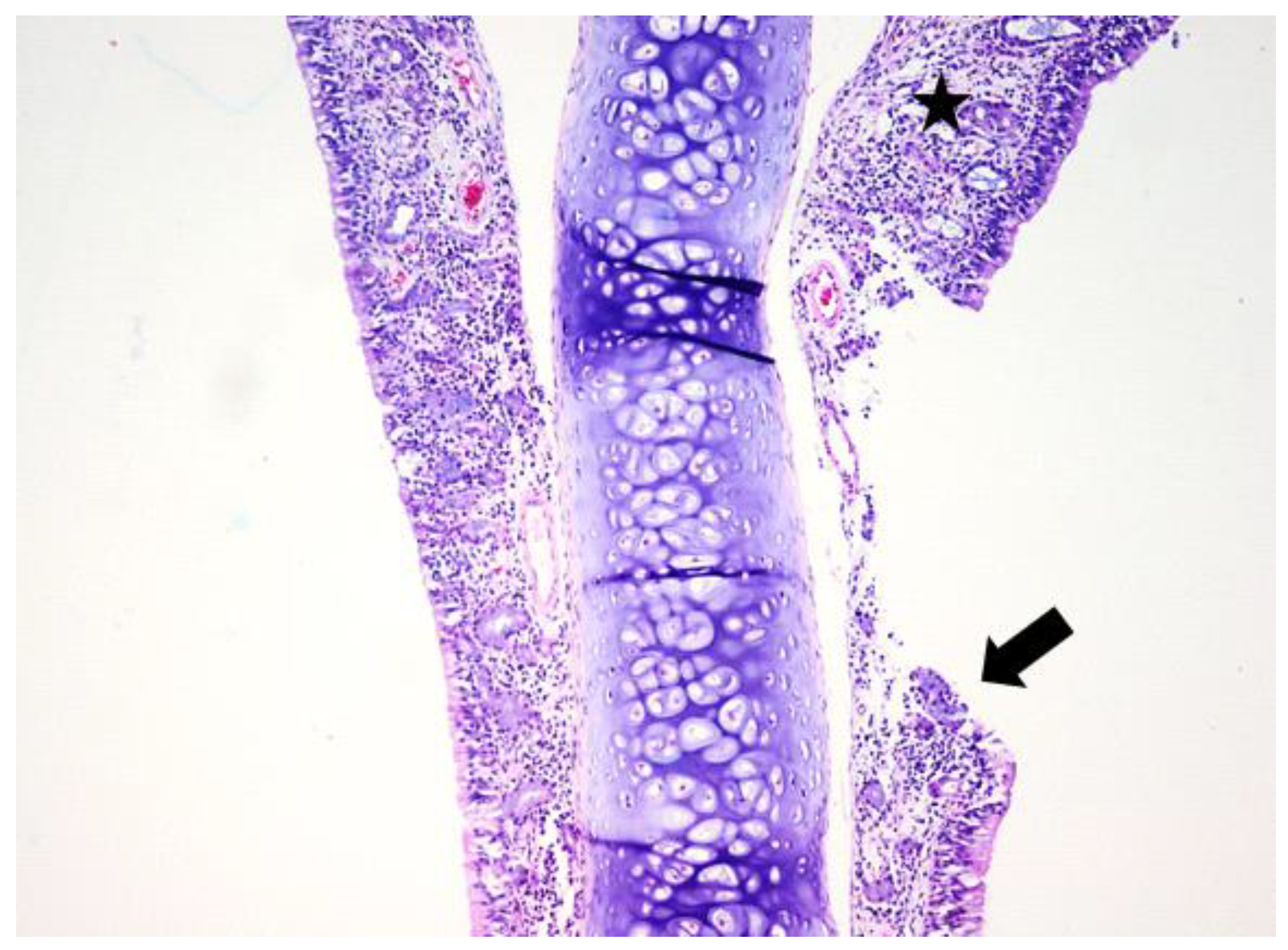 Jcm 08 01941 g003 Jcm 08 01941 g003