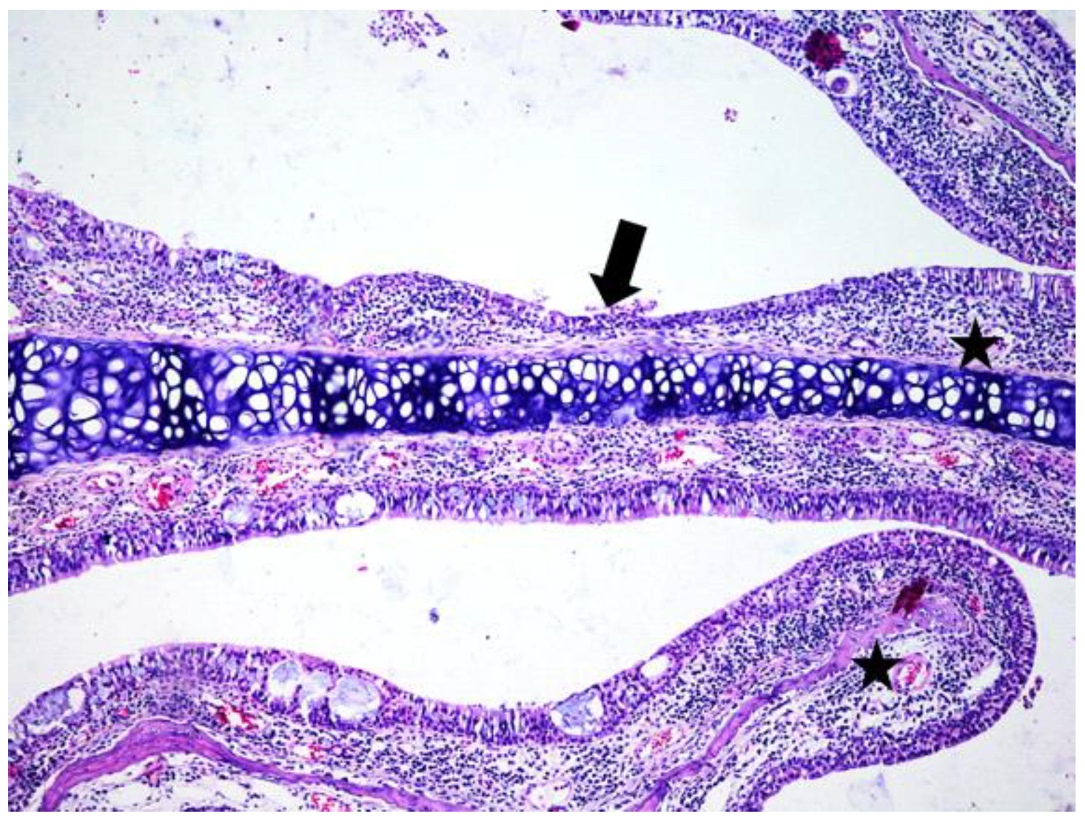 Jcm 08 01941 g008 Jcm 08 01941 g008