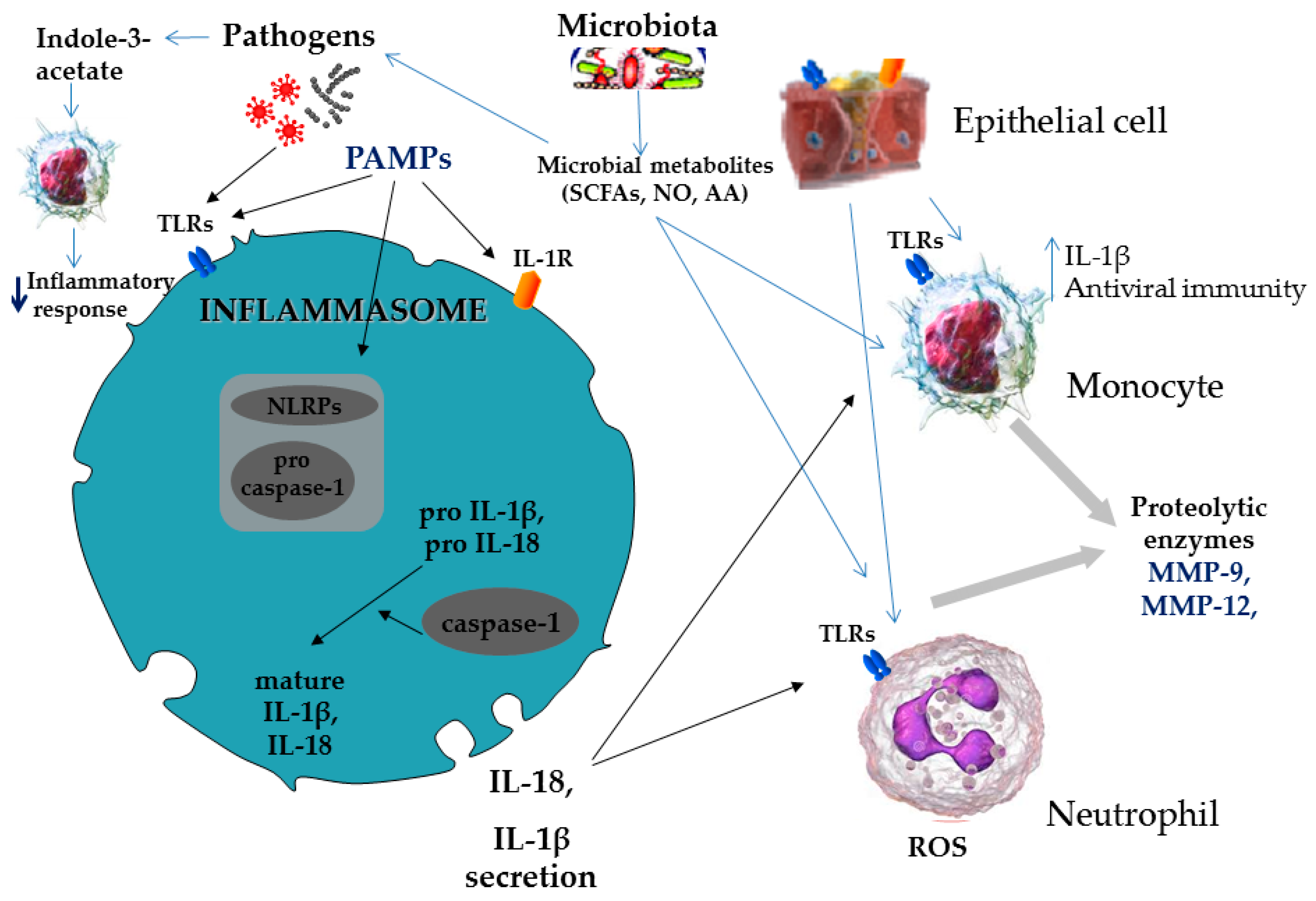 Jcm 08 01967 g003 Jcm 08 01967 g003