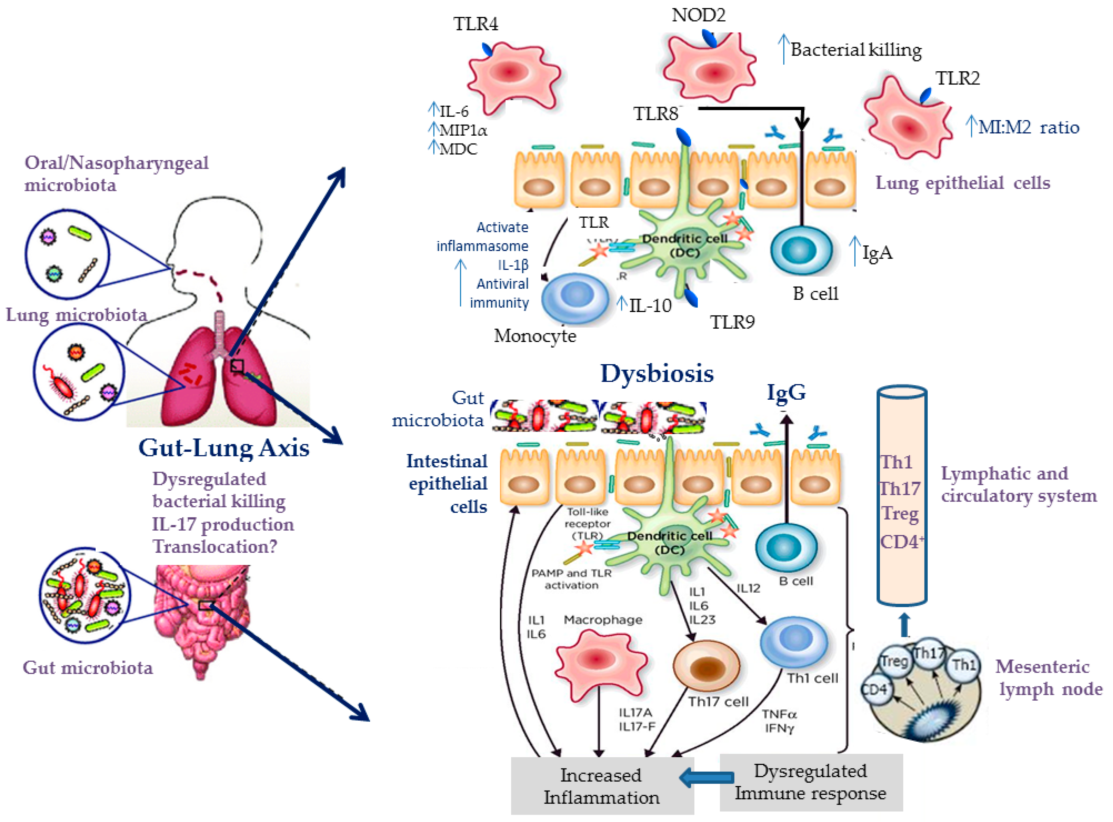 Jcm 08 01967 g004 Jcm 08 01967 g004
