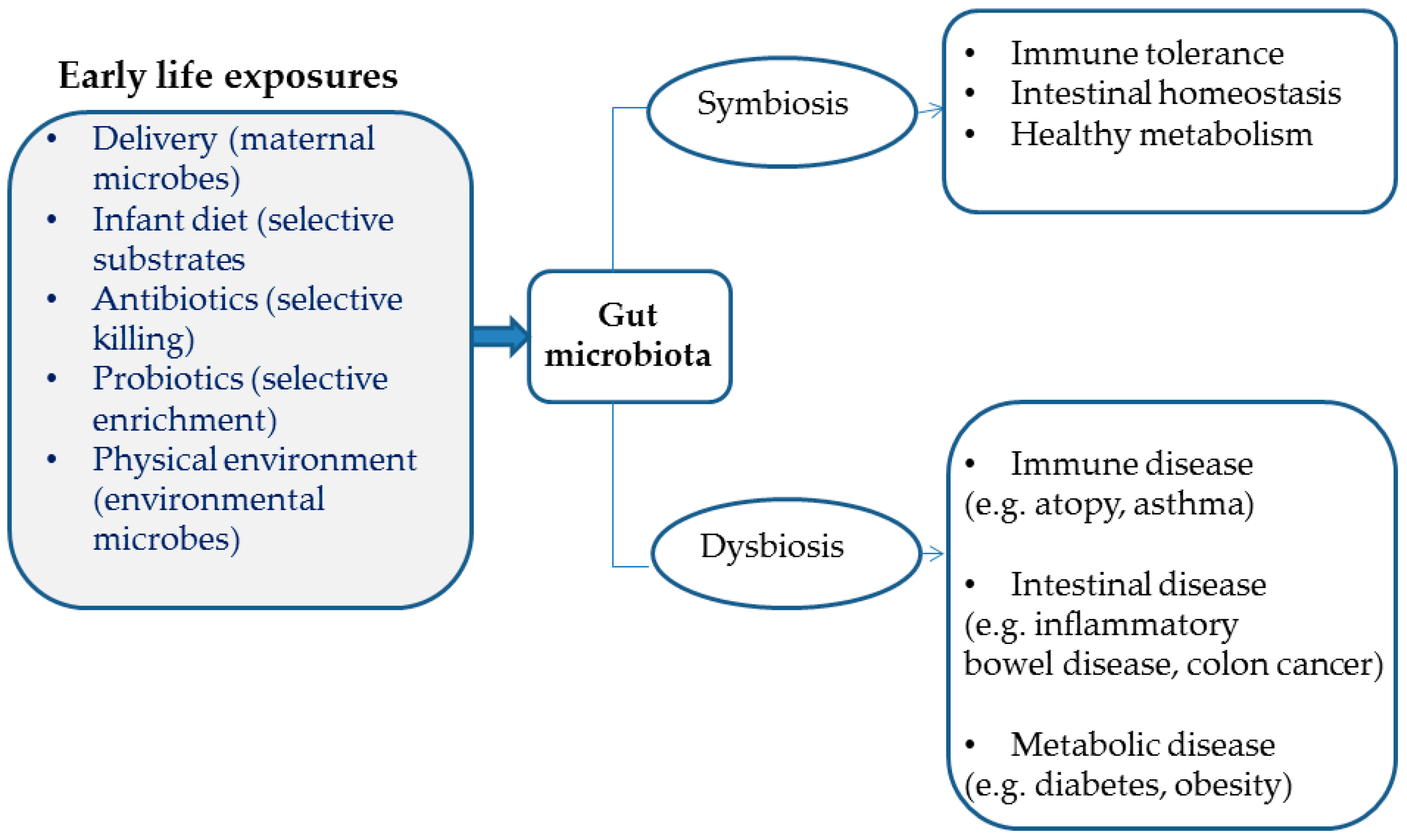 Jcm 08 01967 g005 Jcm 08 01967 g005