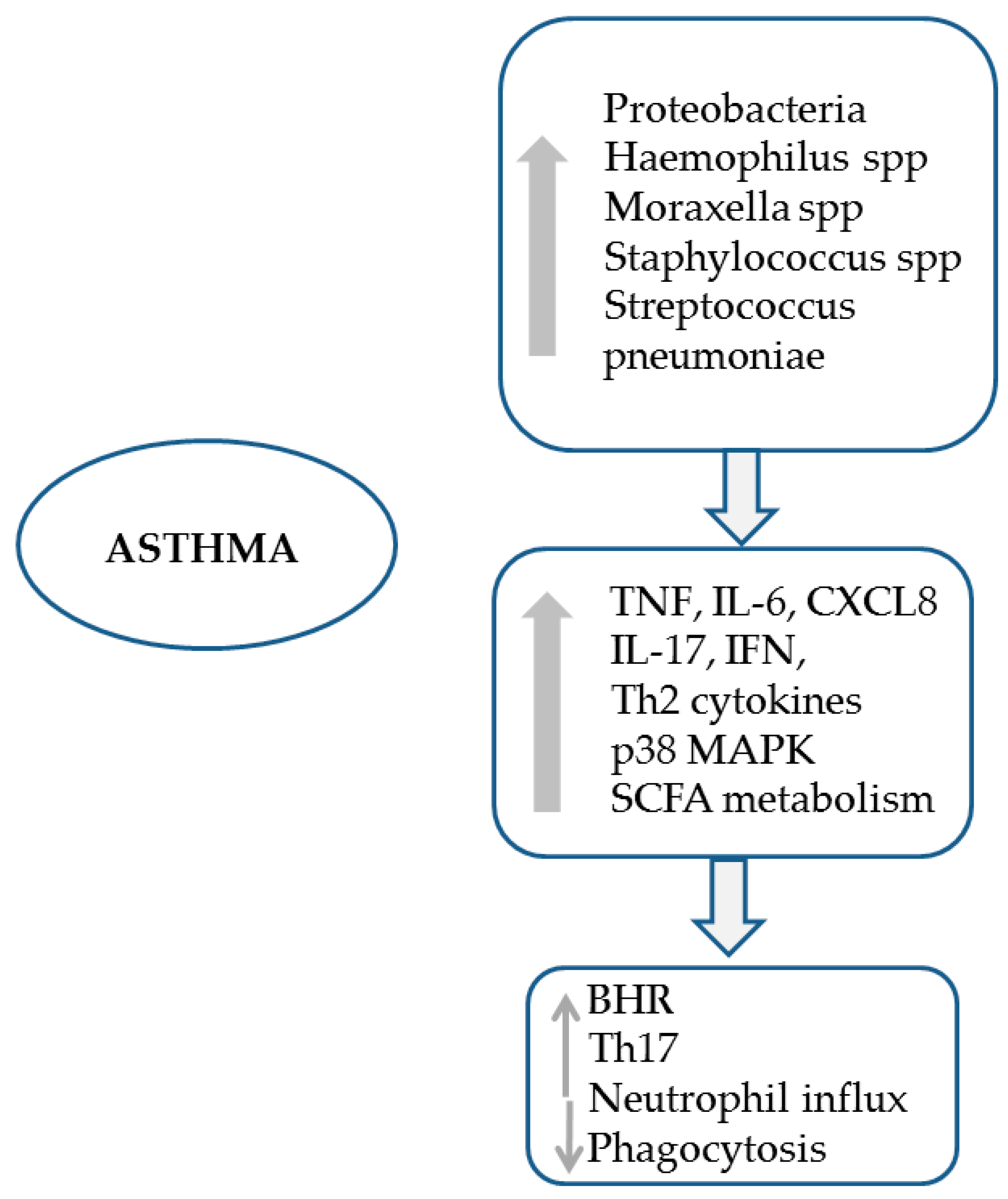 Jcm 08 01967 g006 Jcm 08 01967 g006