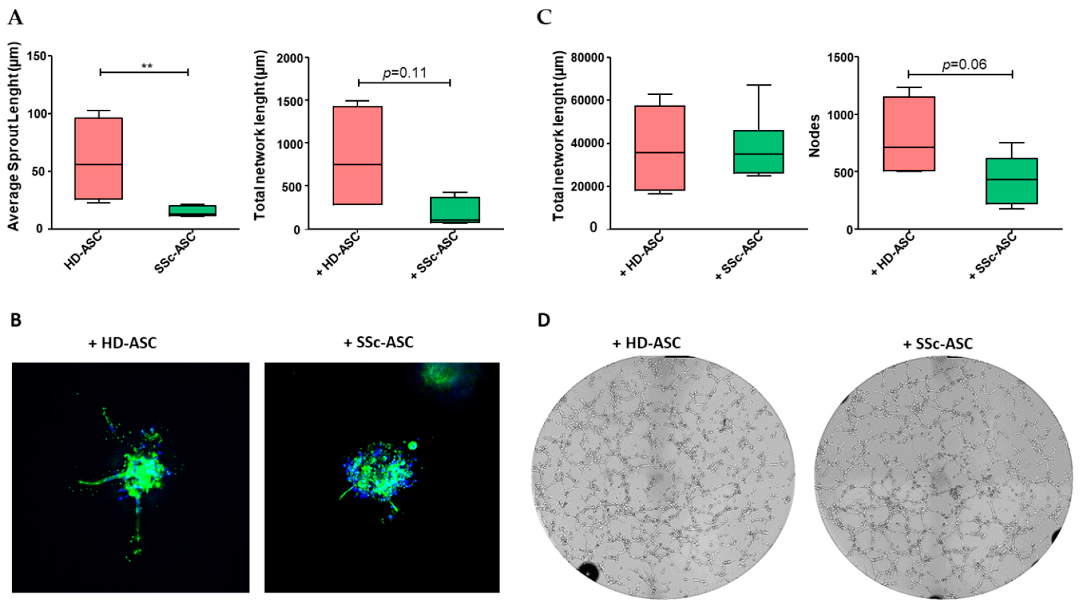 Jcm 08 01979 g004 Jcm 08 01979 g004