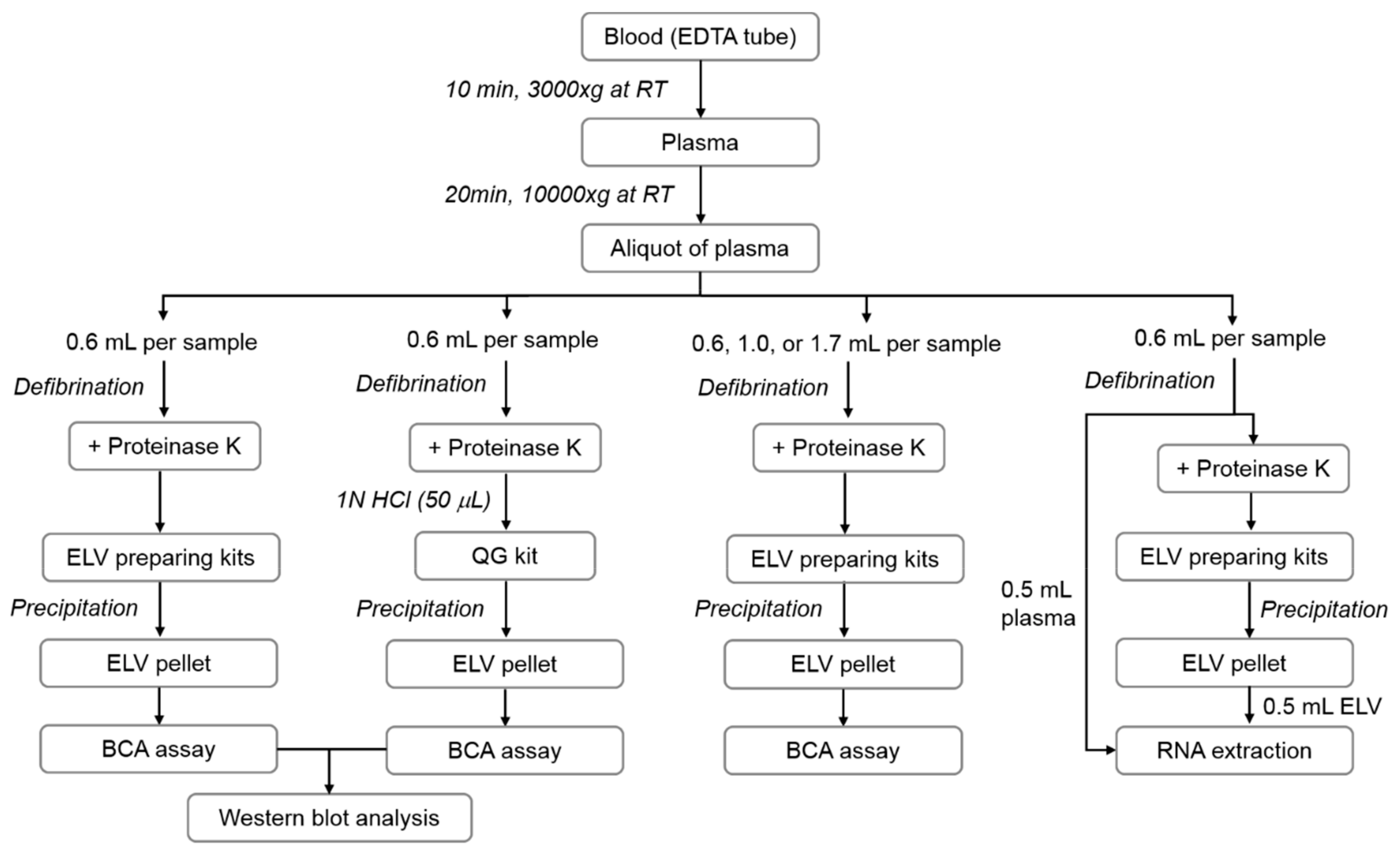 Jcm 08 01995 g001 Jcm 08 01995 g001