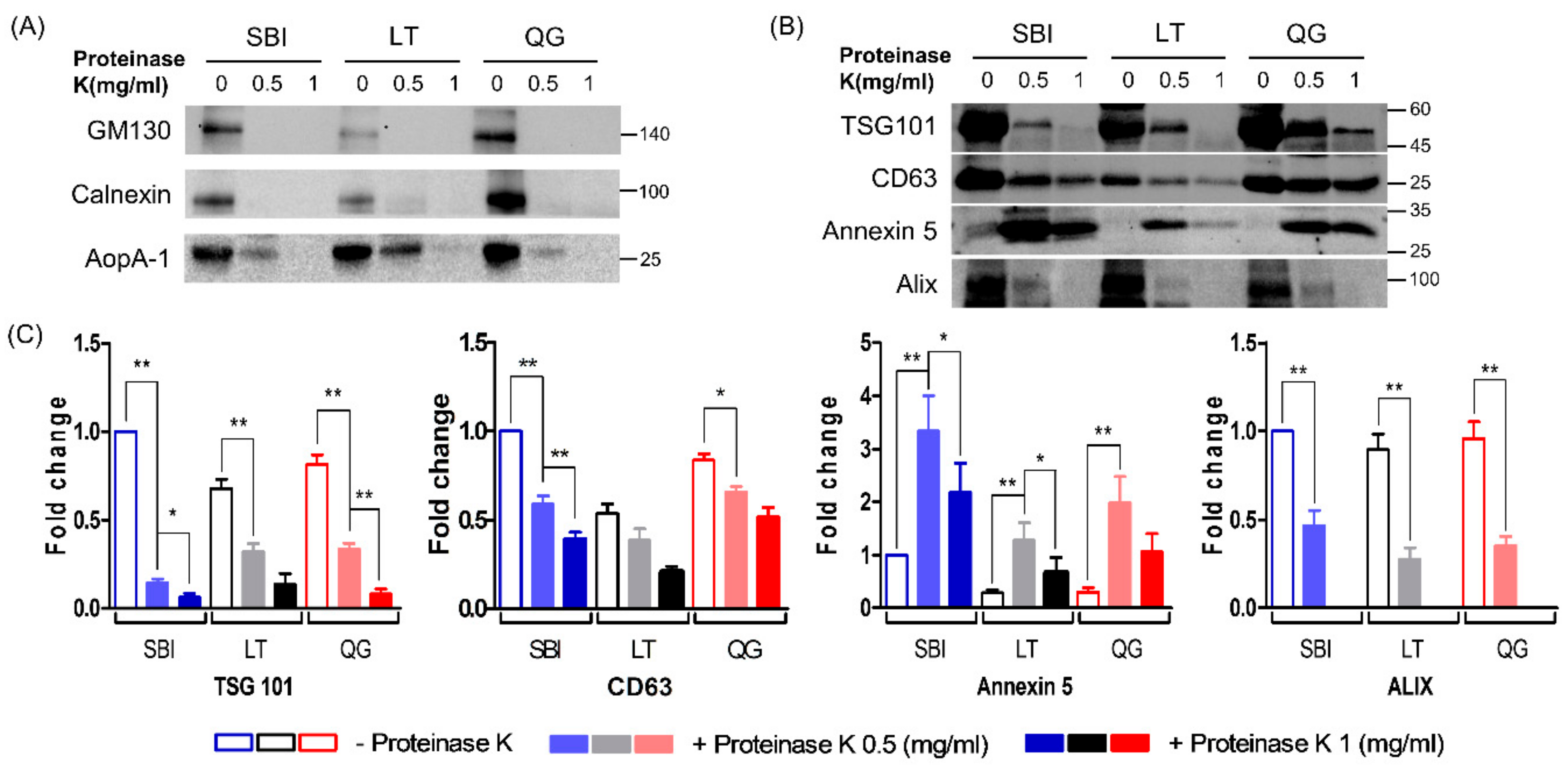 Jcm 08 01995 g002 Jcm 08 01995 g002