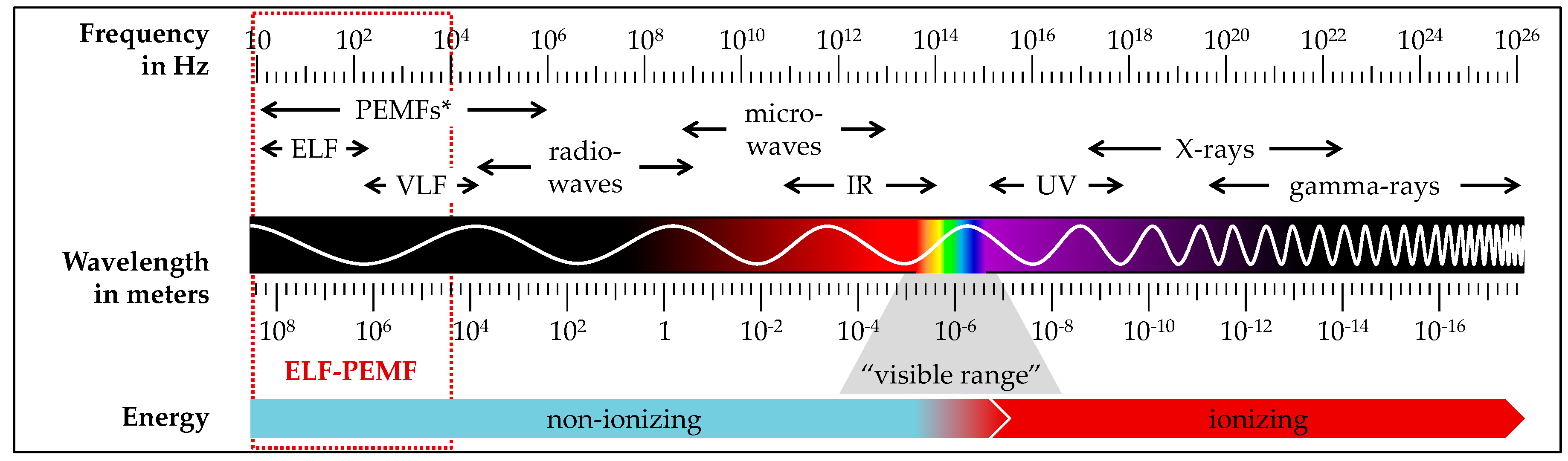 JCM | Free Full-Text | Translational Insights Extremely Low Frequency Pulsed Electromagnetic Fields (ELF-PEMFs) for Bone Regeneration after Trauma and Orthopedic Surgery | HTML