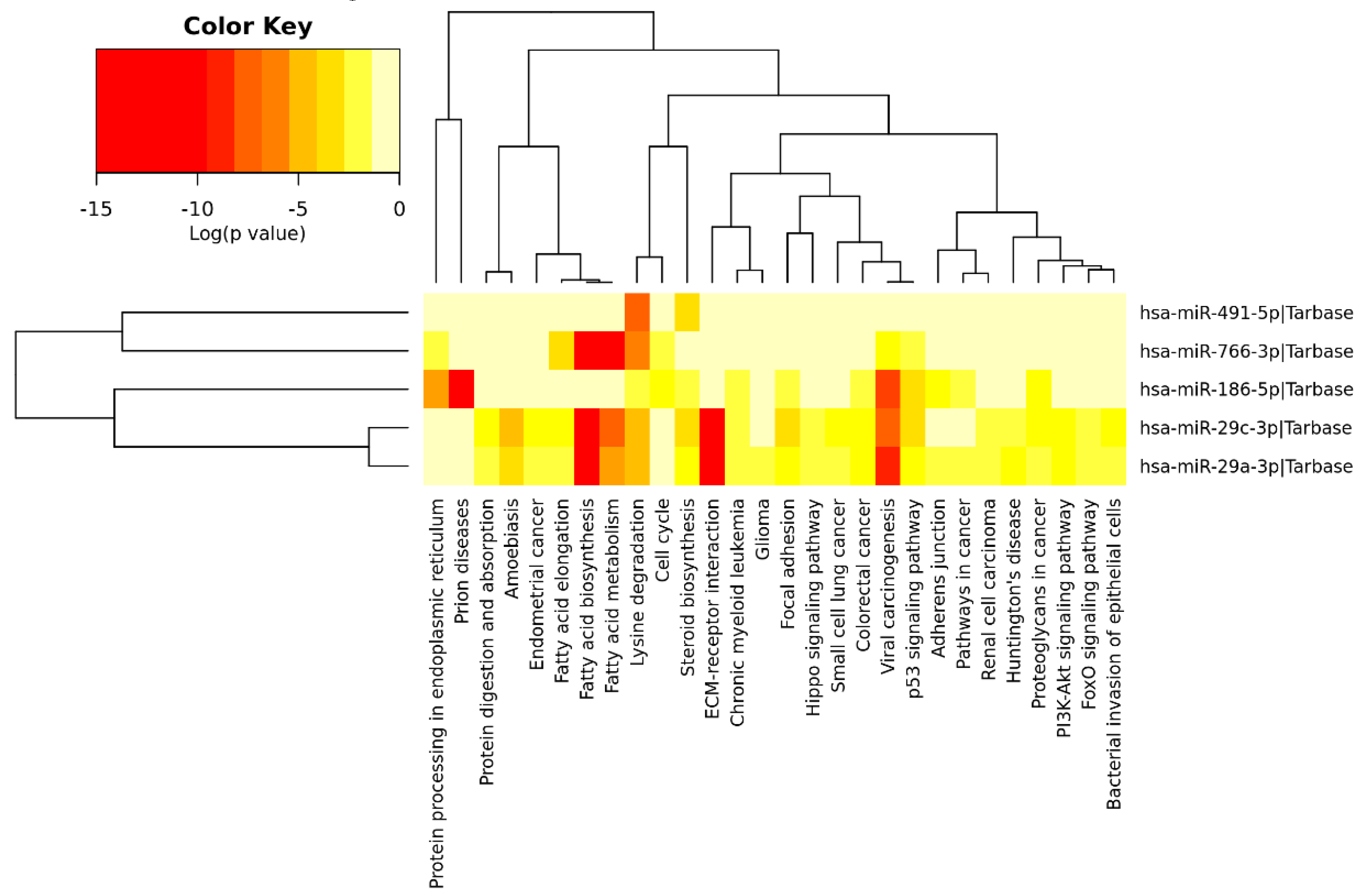 Jcm 08 02029 g006 Jcm 08 02029 g006