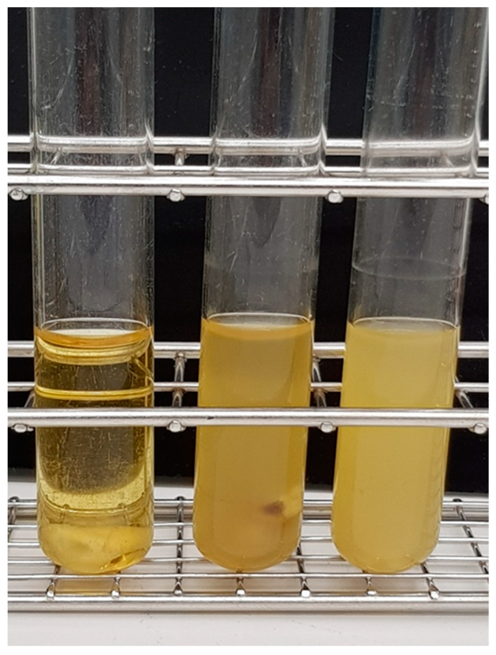 Jcm 08 02037 g001 Jcm 08 02037 g001