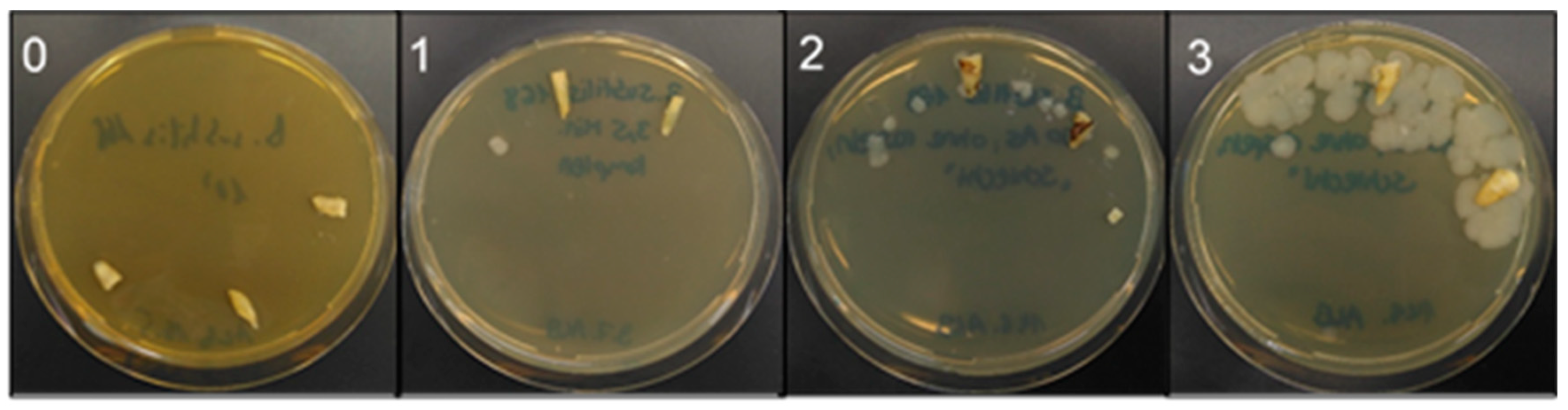 Jcm 08 02037 g006 Jcm 08 02037 g006